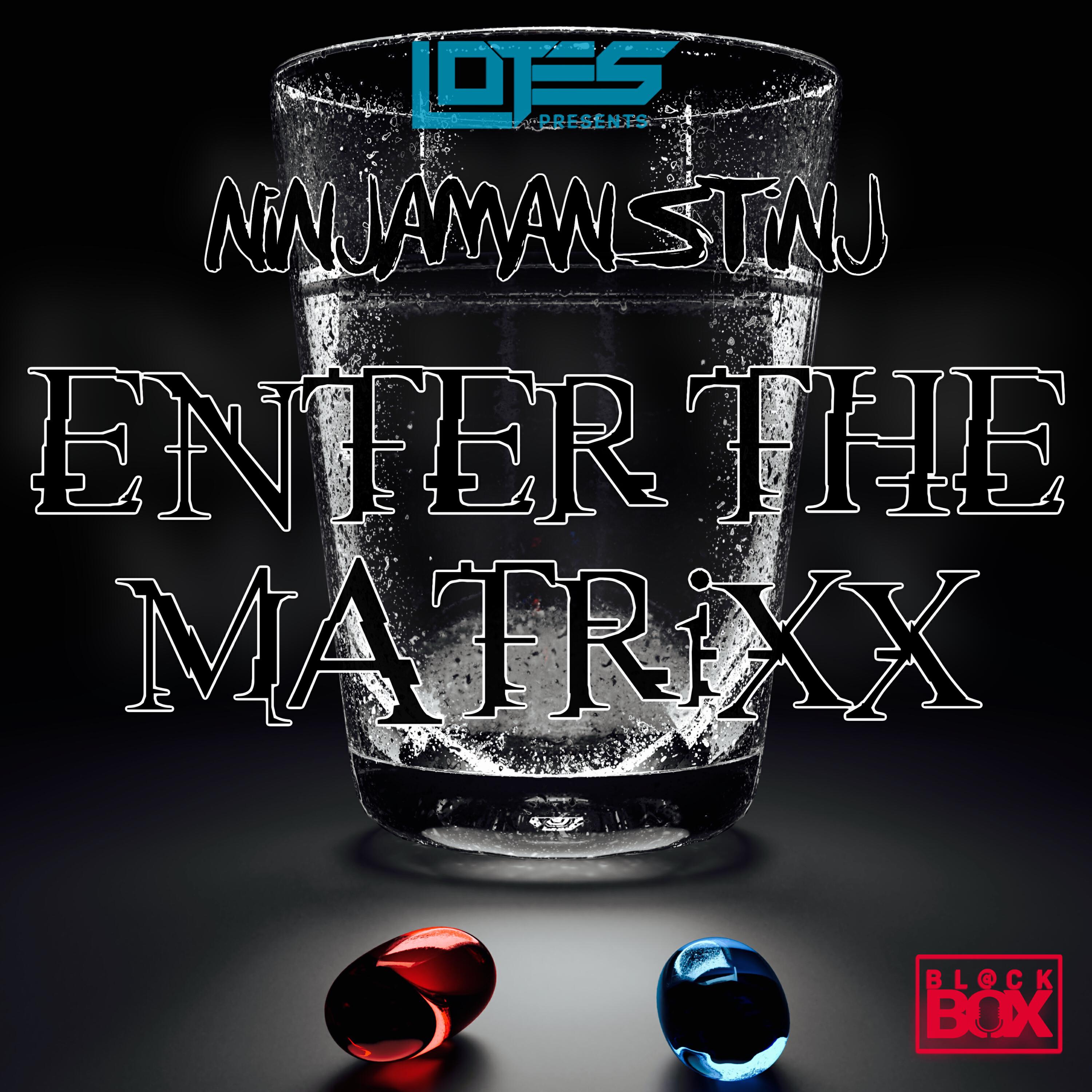 Релиз Enter The Matrixx