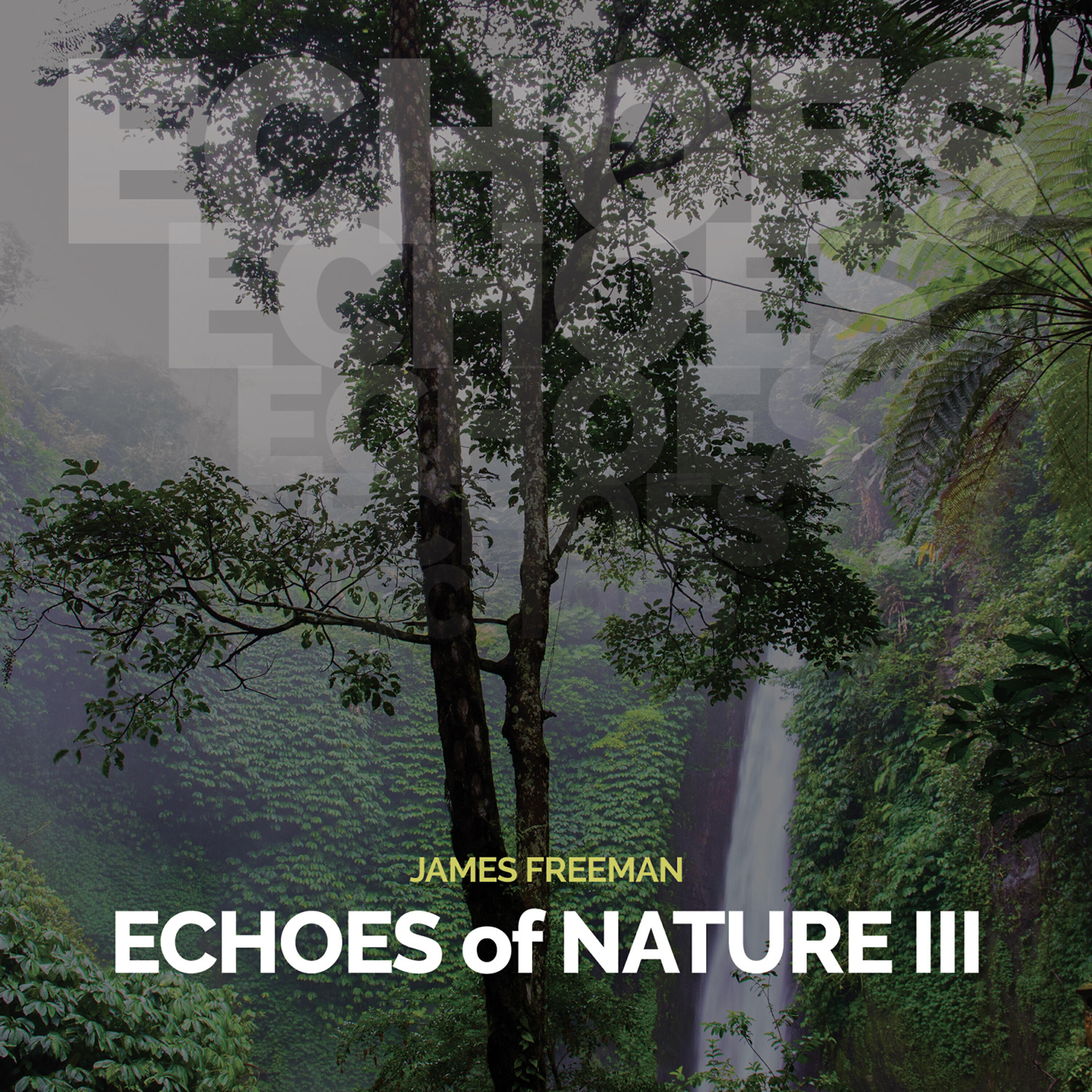 Релиз Echoes of Nature III