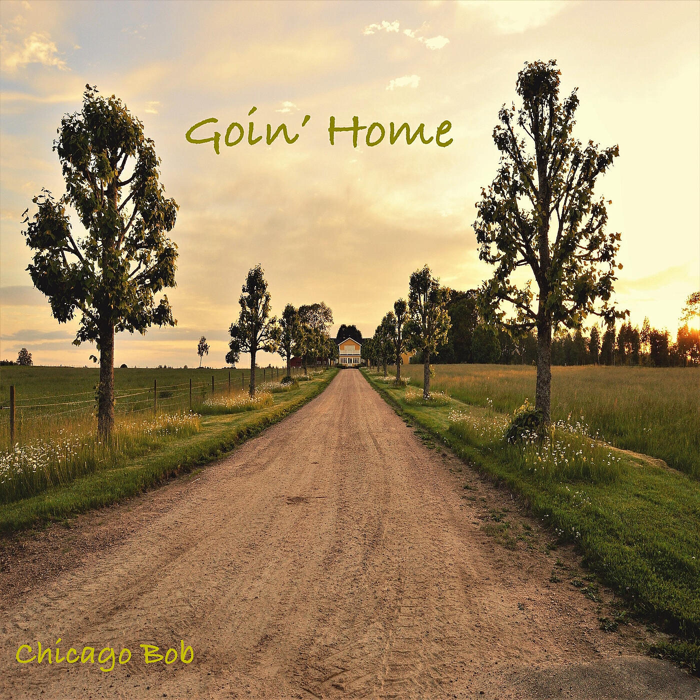 Релиз Goin' home