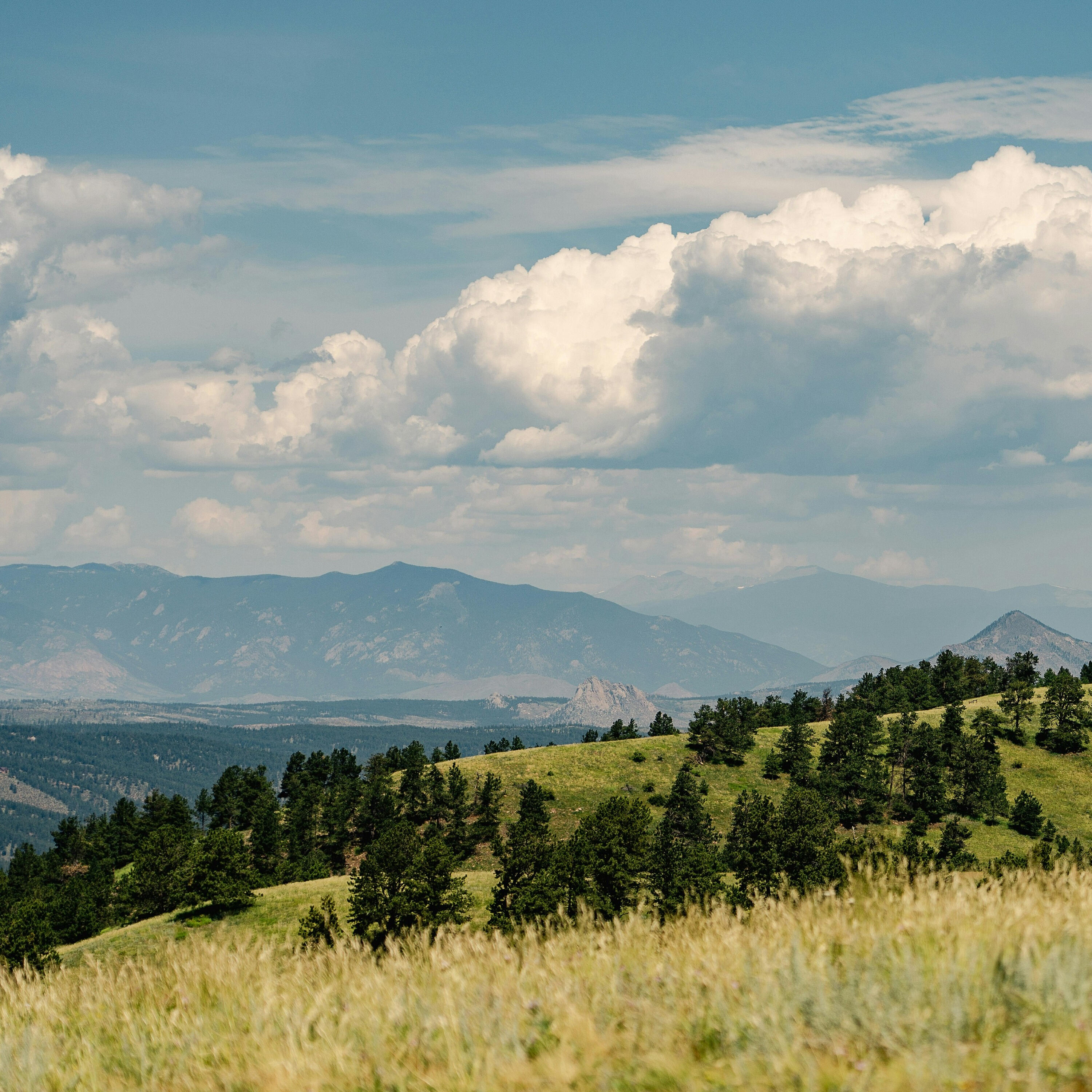 Релиз Wyoming