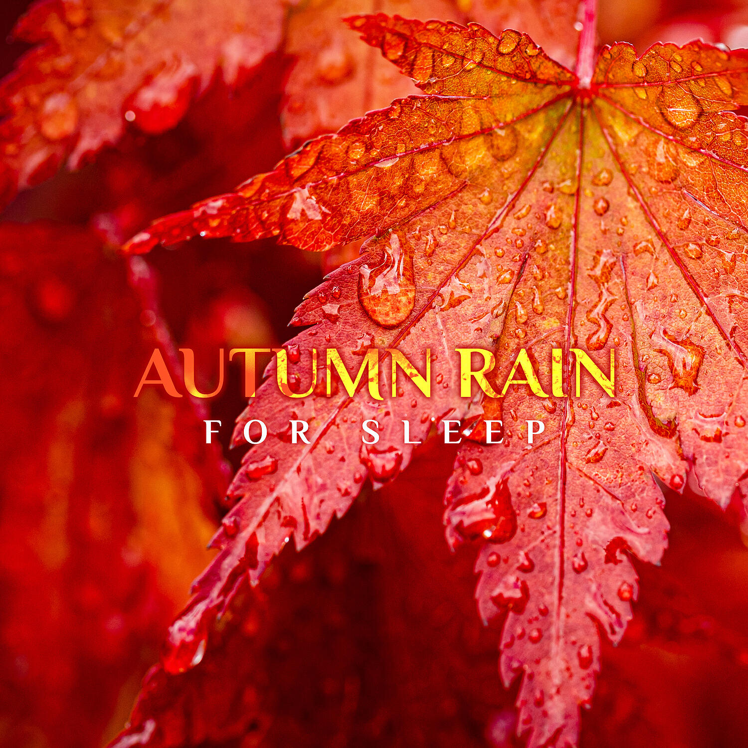 Релиз Autumn Rain for Sleep: Cozy Mood & Relaxing Nature Sounds