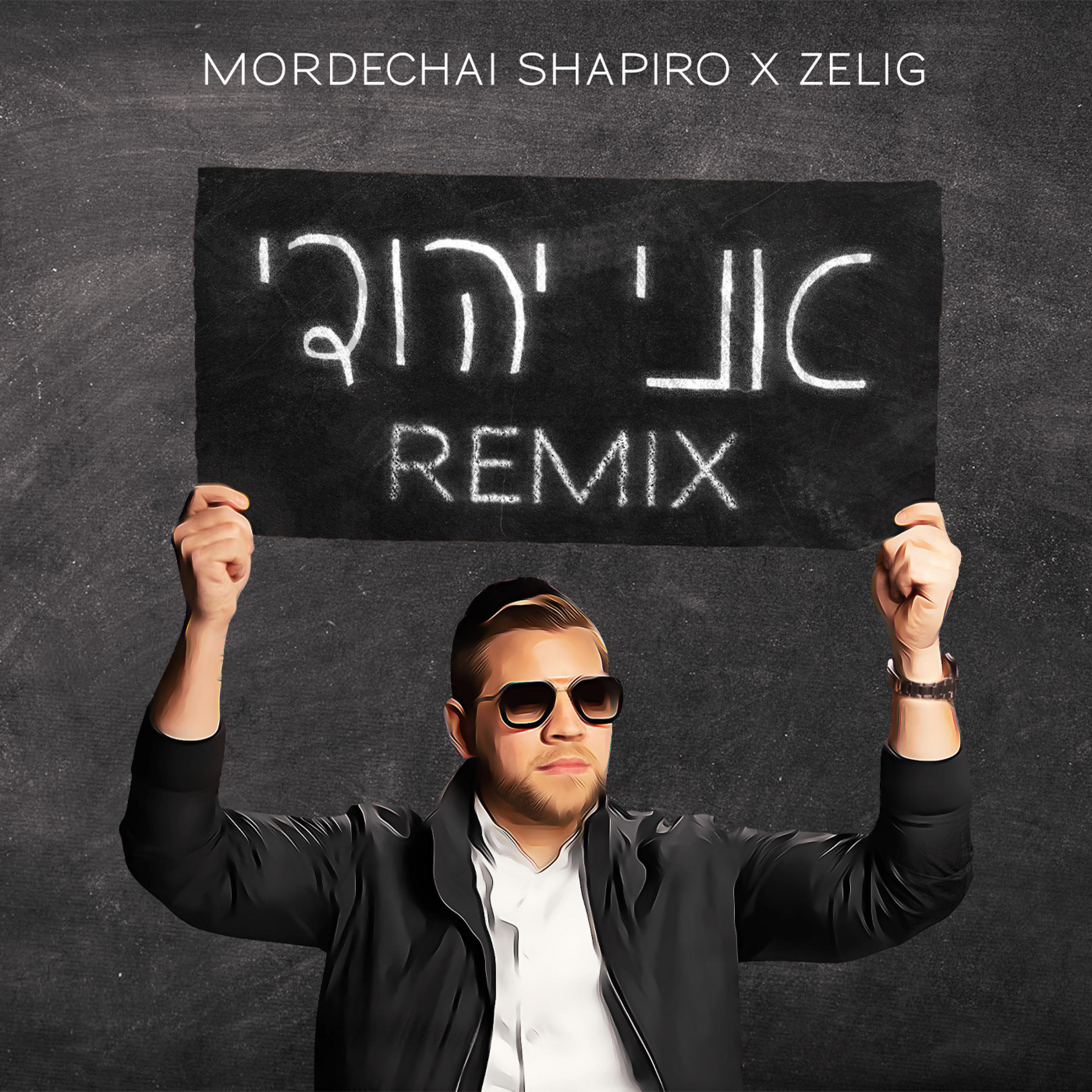 Релиз Ani Yehudi (REMIX)