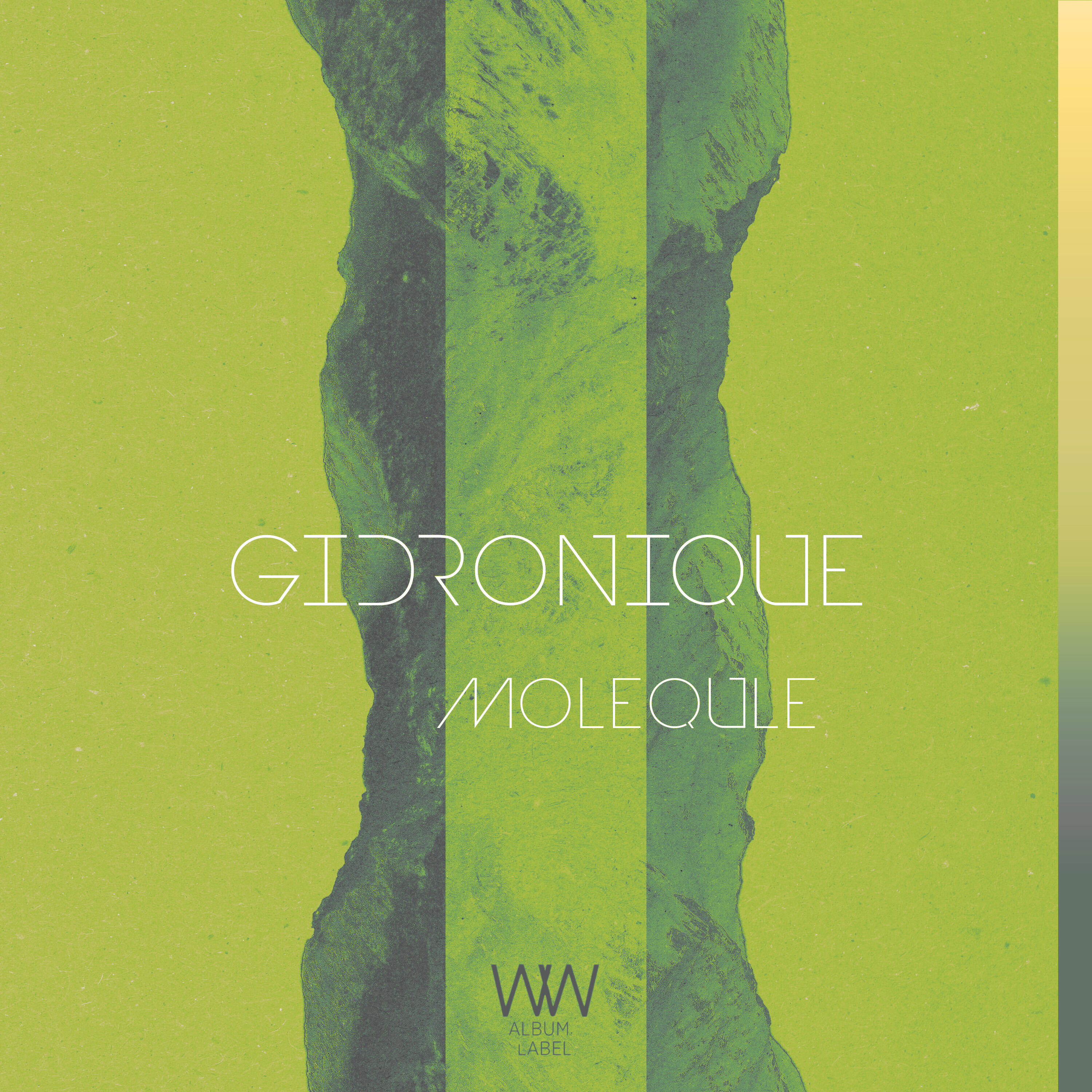 Релиз Molequle