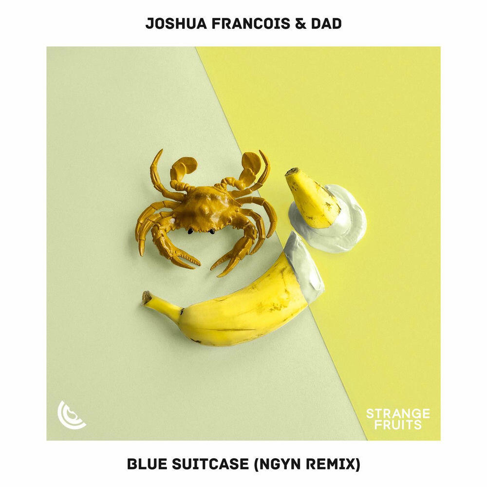 Релиз Blue Suitcase (Ngyn Remix)