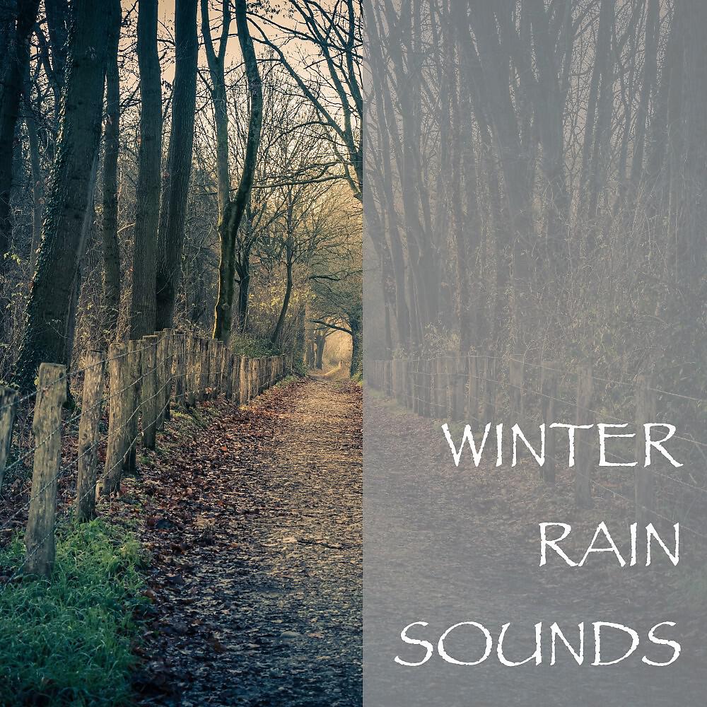 Релиз Winter Rain Sounds