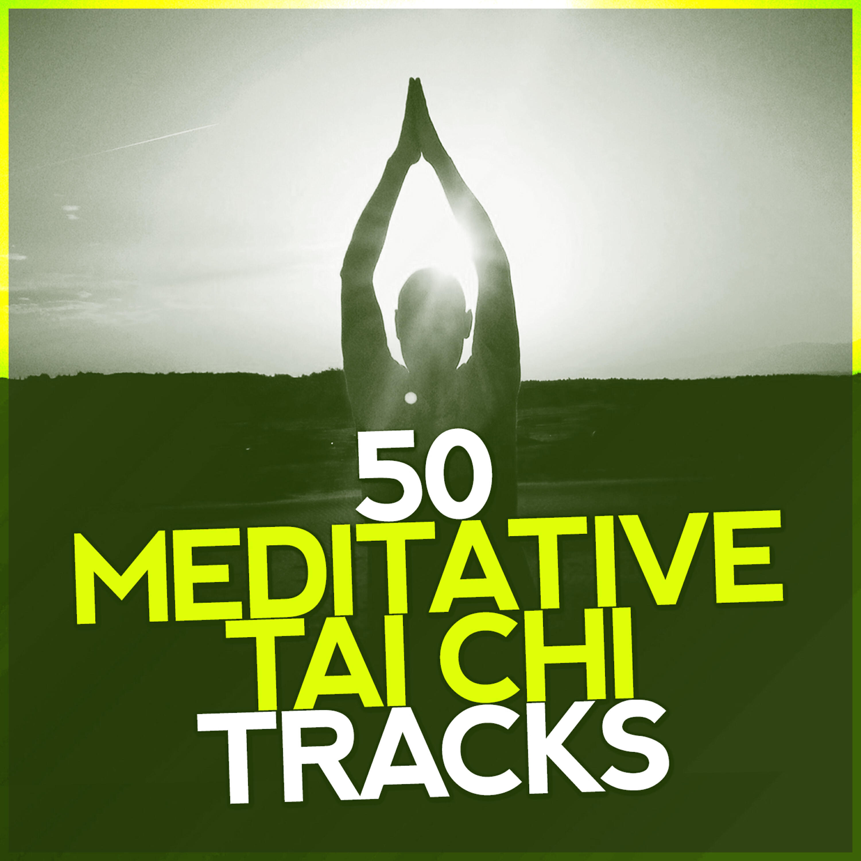 Релиз 50 Meditative Tai Chi Tracks: Relaxation, Fitness, Zen, Healing, Positive Thinking