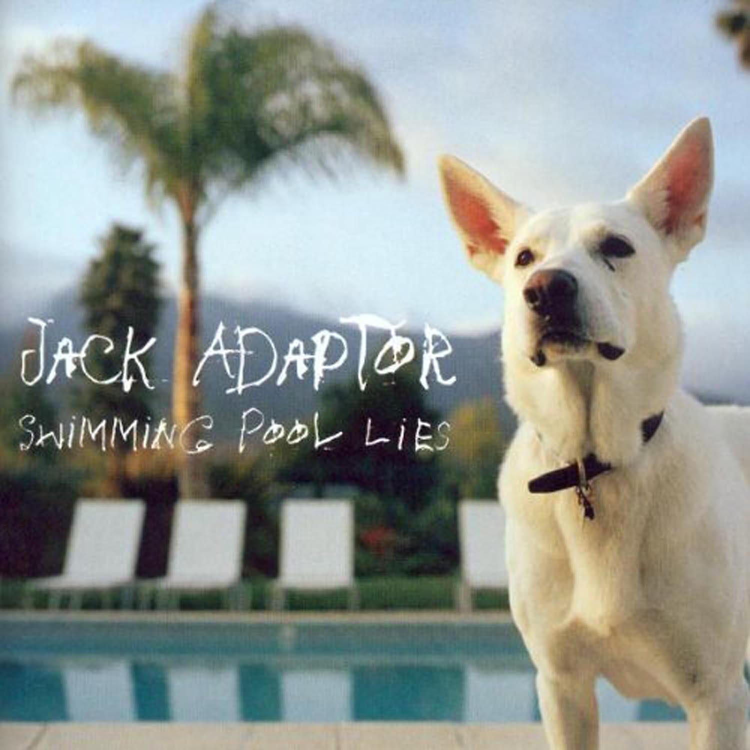 Релиз Swimming Pool Lies