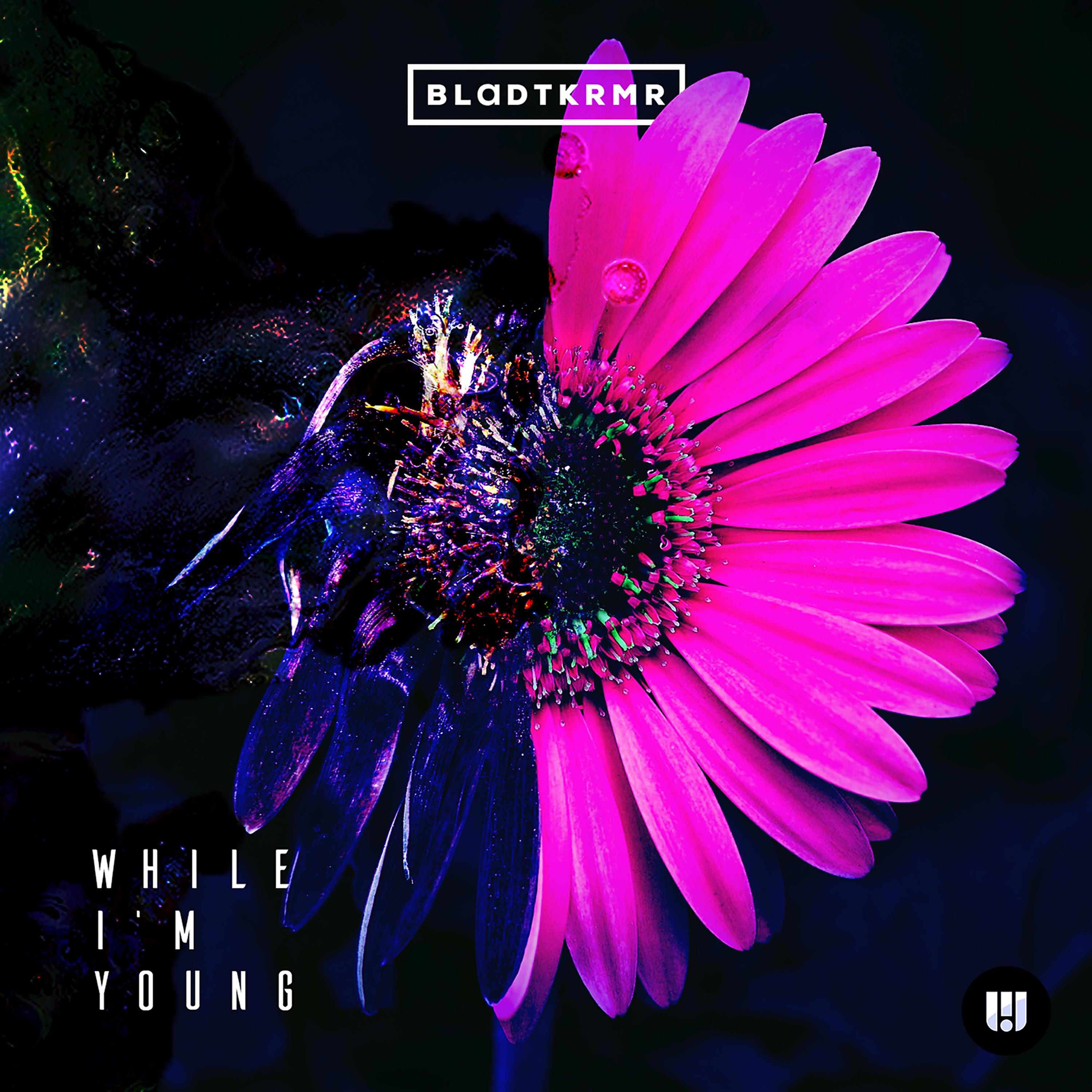 Релиз While I'm Young