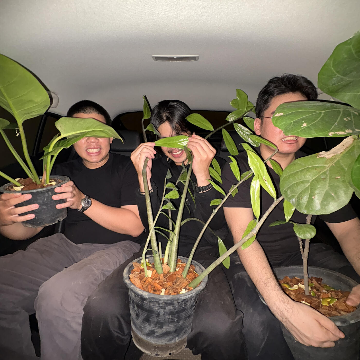 Релиз Faux Taxi