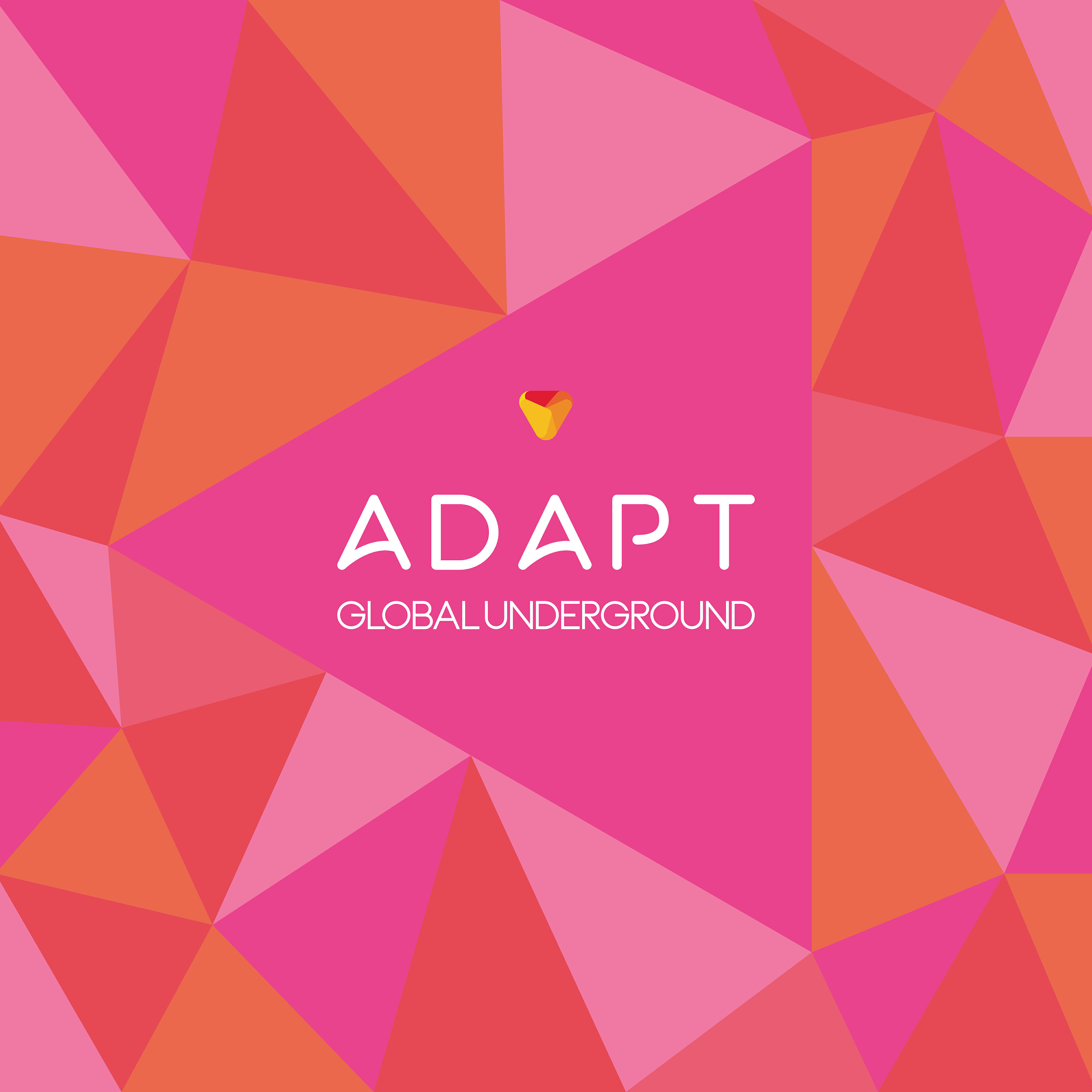 Релиз Global Underground: Adapt #5 (Mixed)
