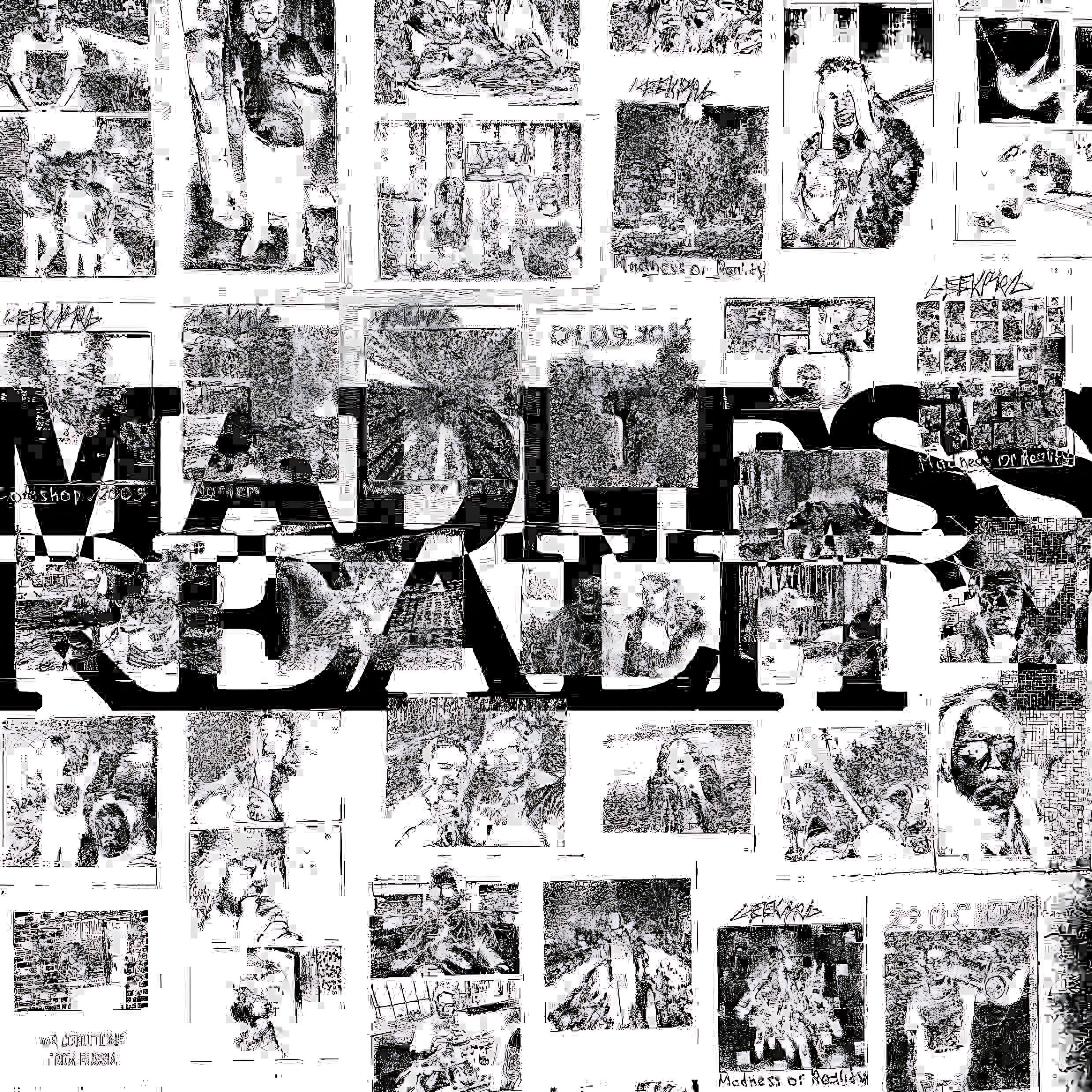 Релиз Madness or Reality