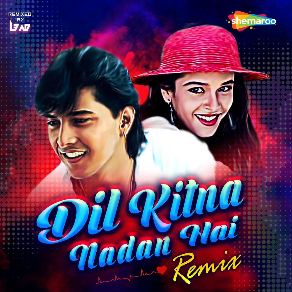 Релиз Dil Kitna Nadan Hai (Remix)