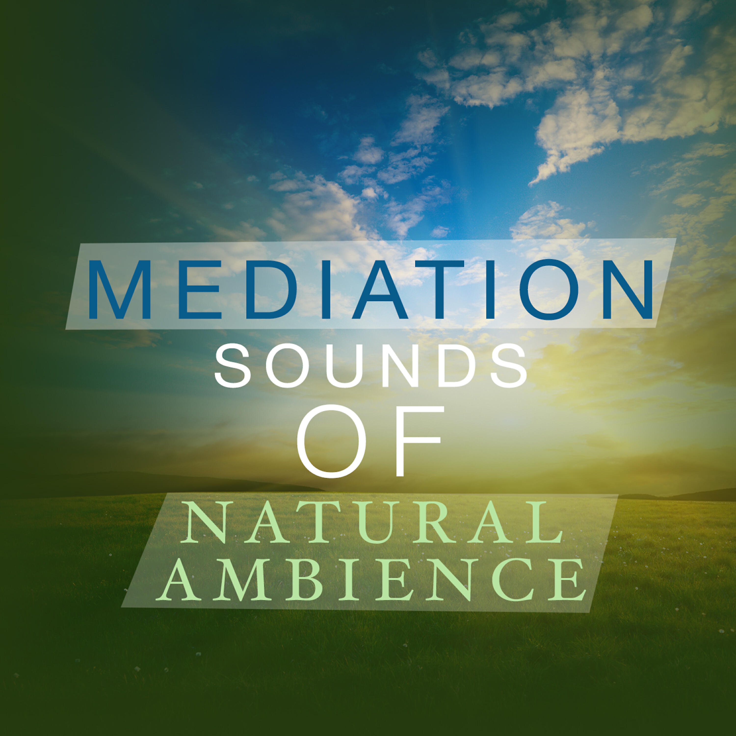 Релиз Mediation Sounds of Natural Ambience