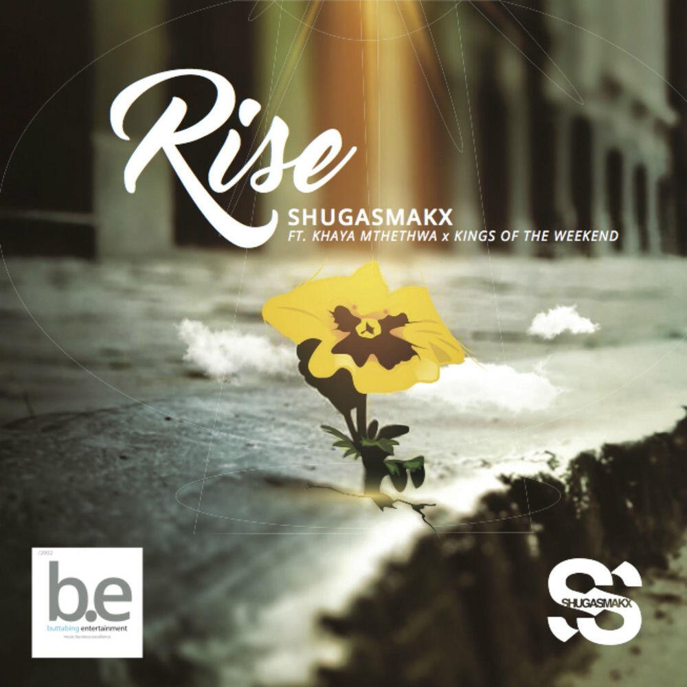 Релиз Rise