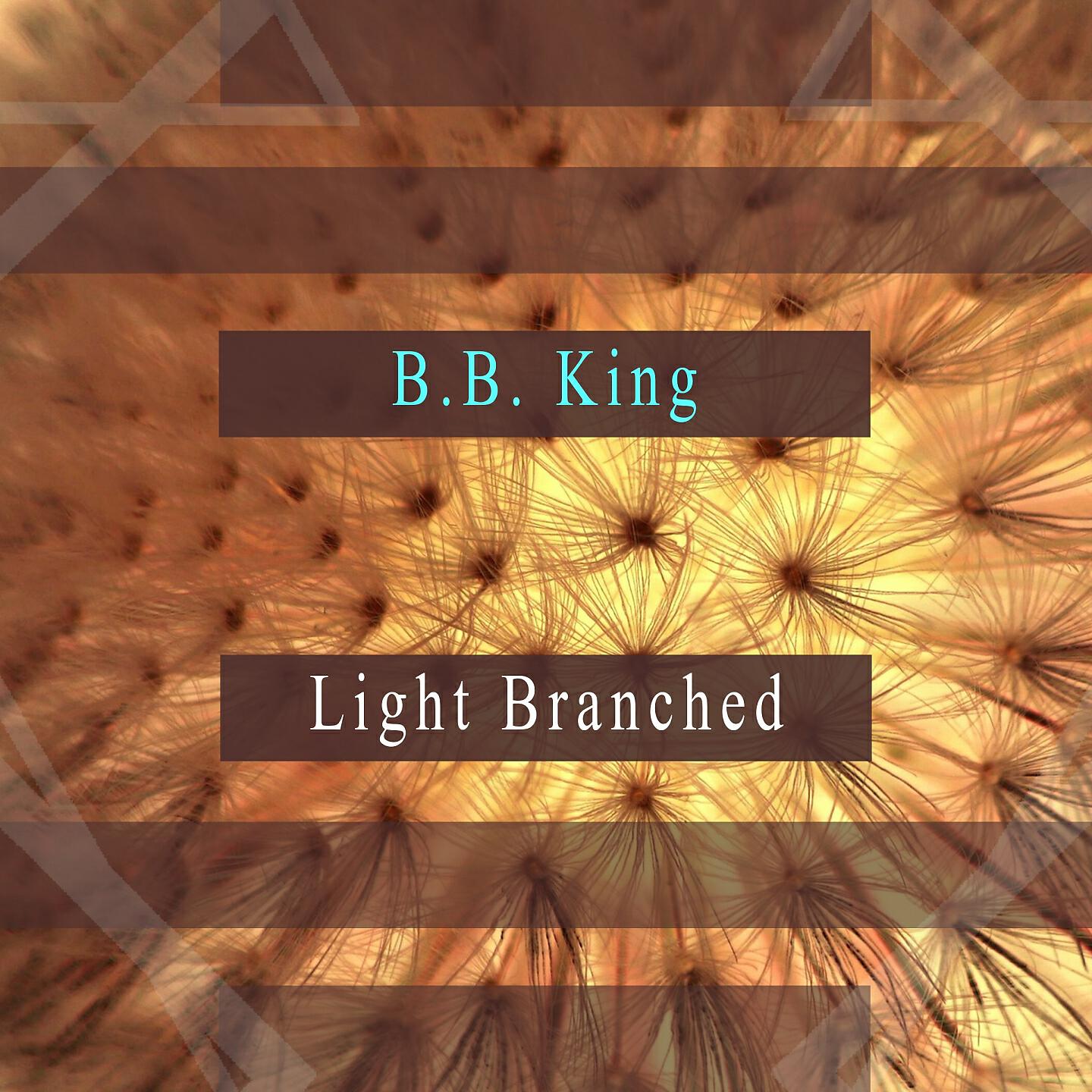 Релиз Light Branched