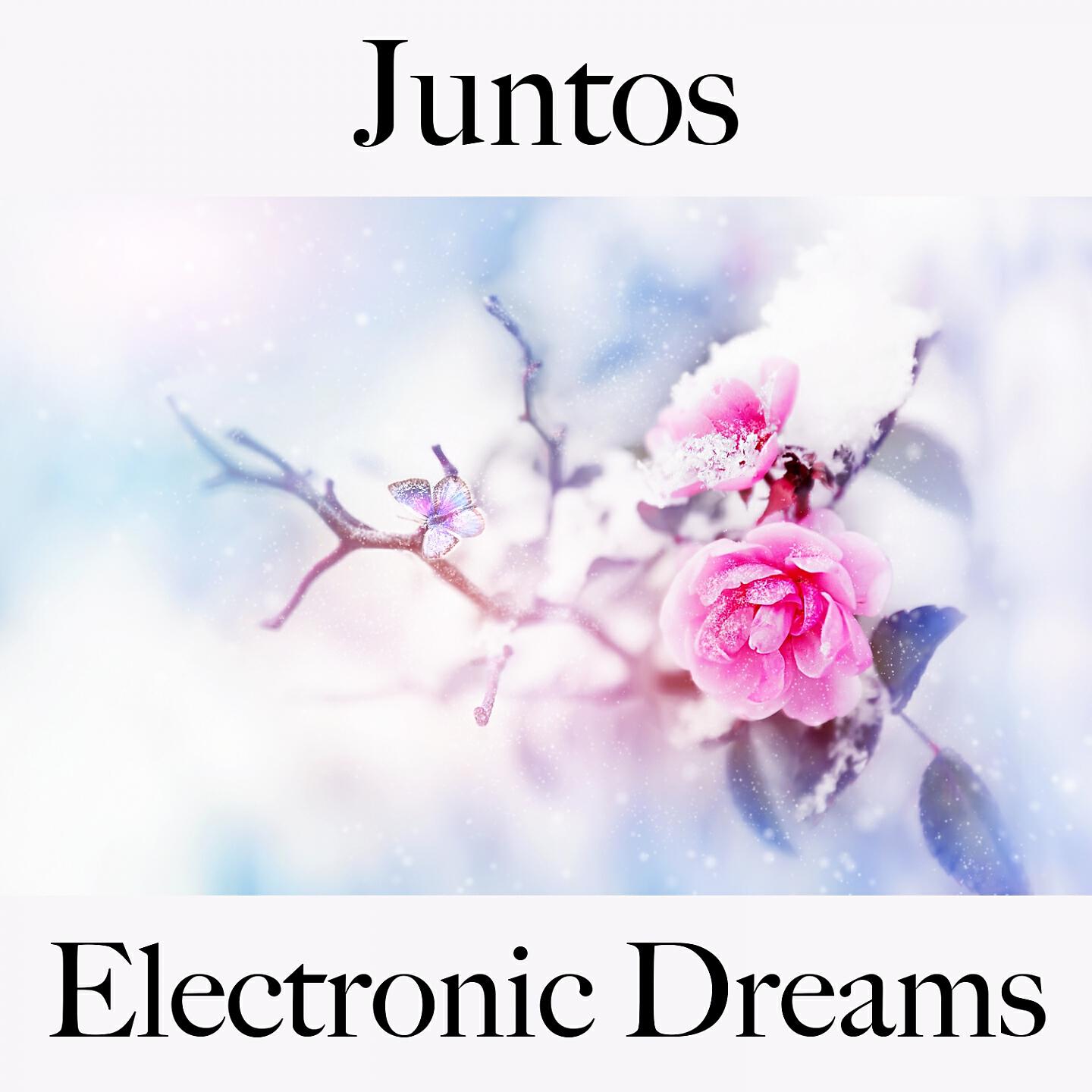 Релиз Juntos: Electronic Dreams - A Melhor Música Para Momentos A Dois