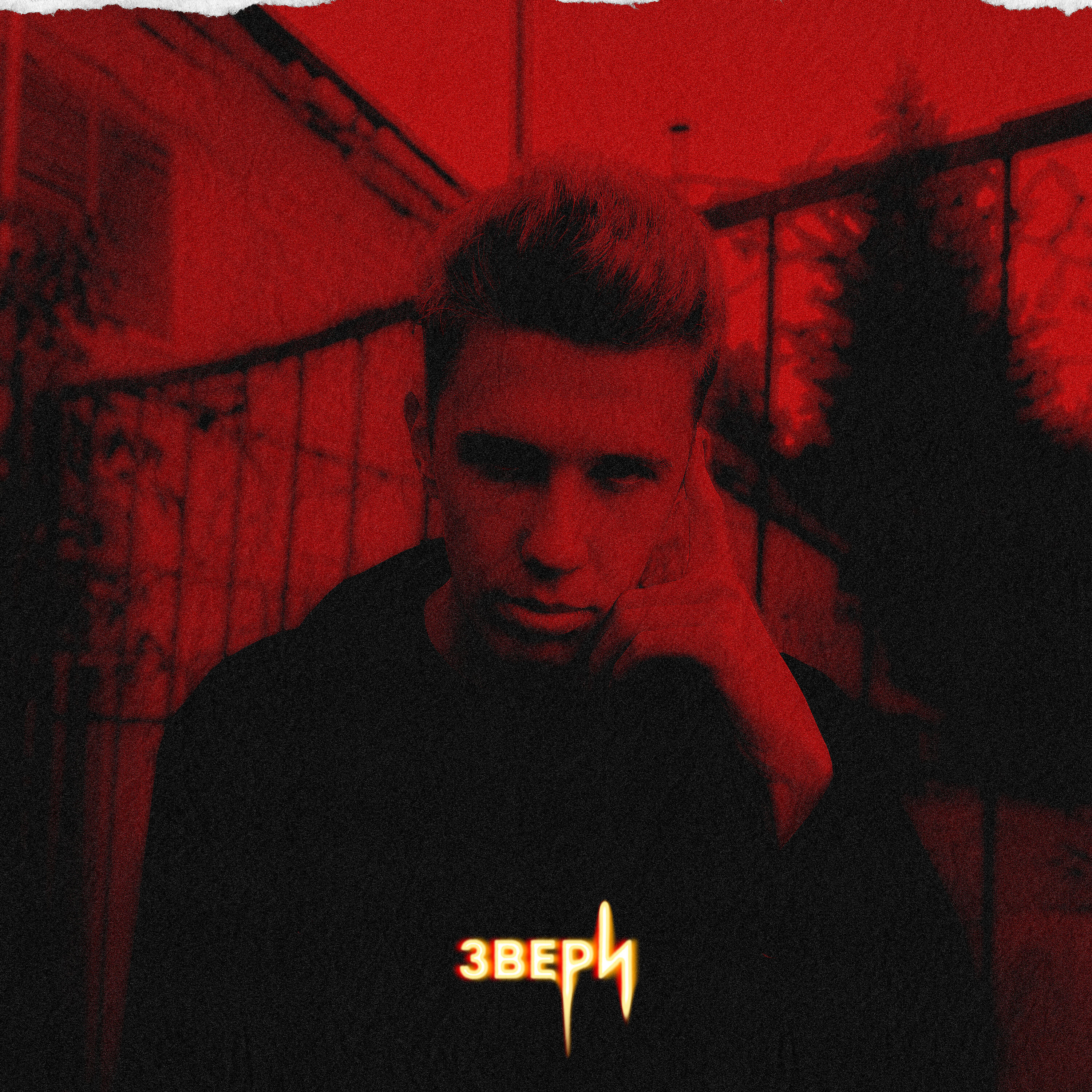 Релиз Звери
