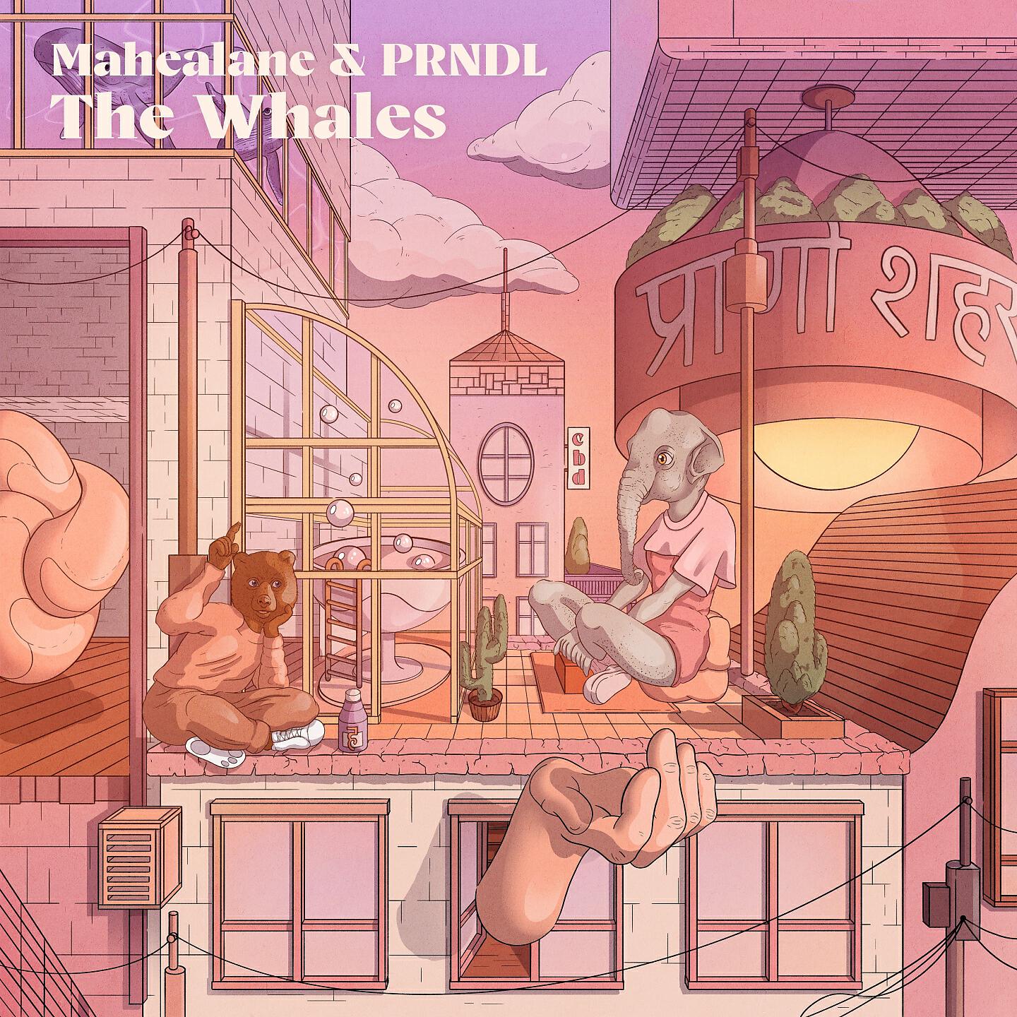 Релиз The Whales