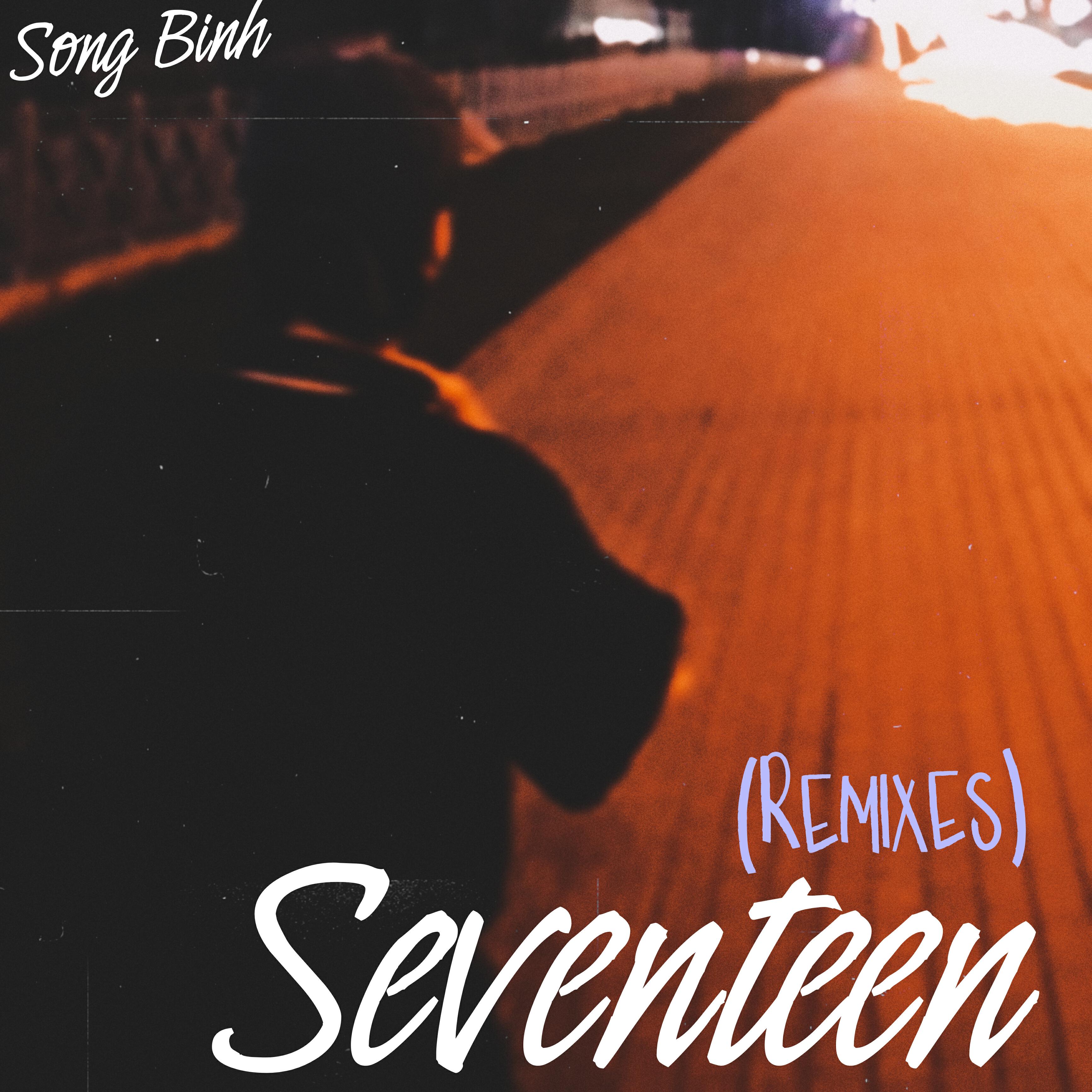 Постер альбома Seventeen (Remixes)