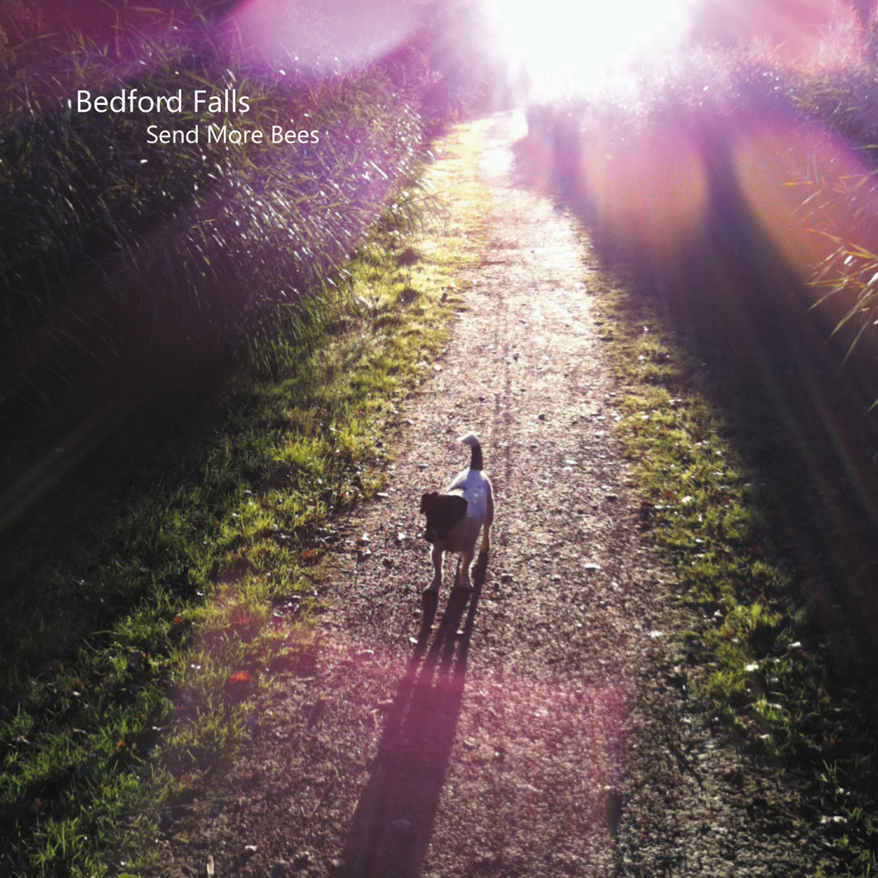 Релиз Send More Bees