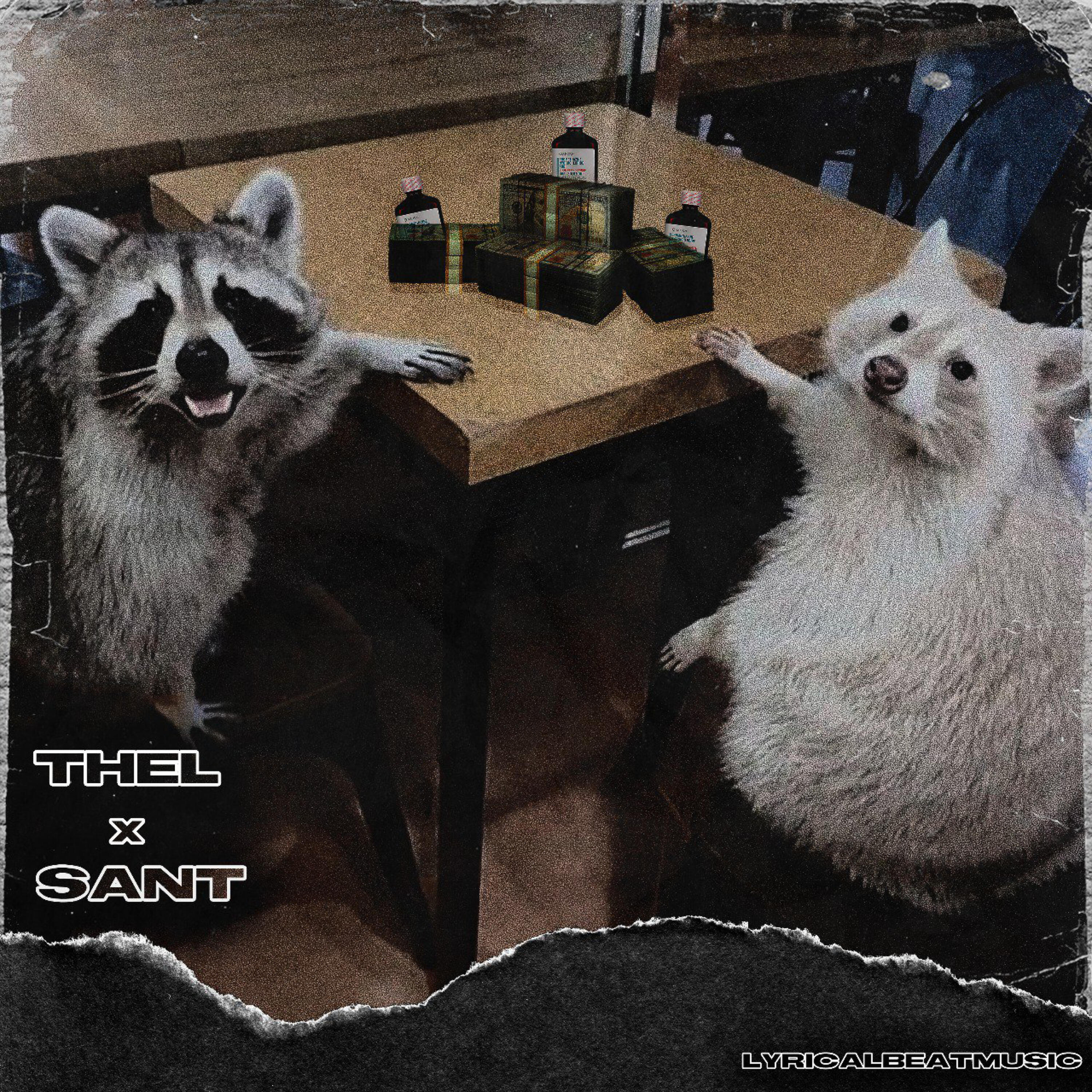 Релиз Raccoon Remix