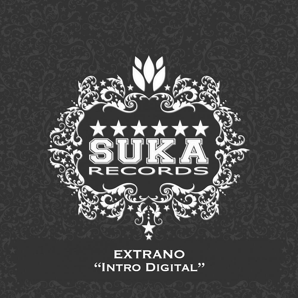 Релиз Intro Digital