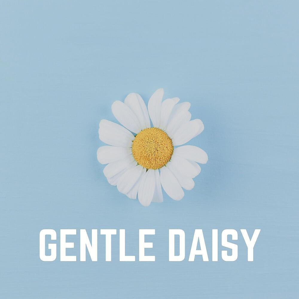 Релиз Gentle Daisy