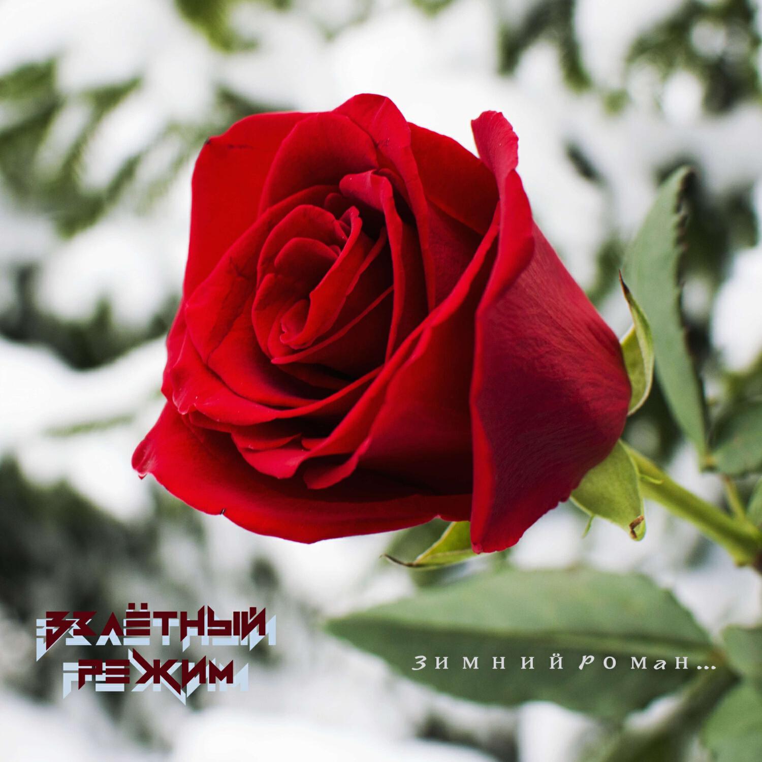 Релиз Зимний Роман