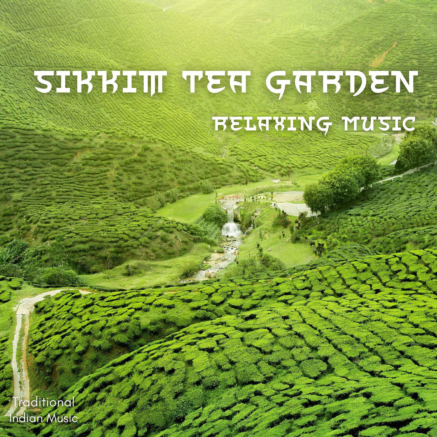 Релиз Sikkim Tea Garden, Relaxing Music