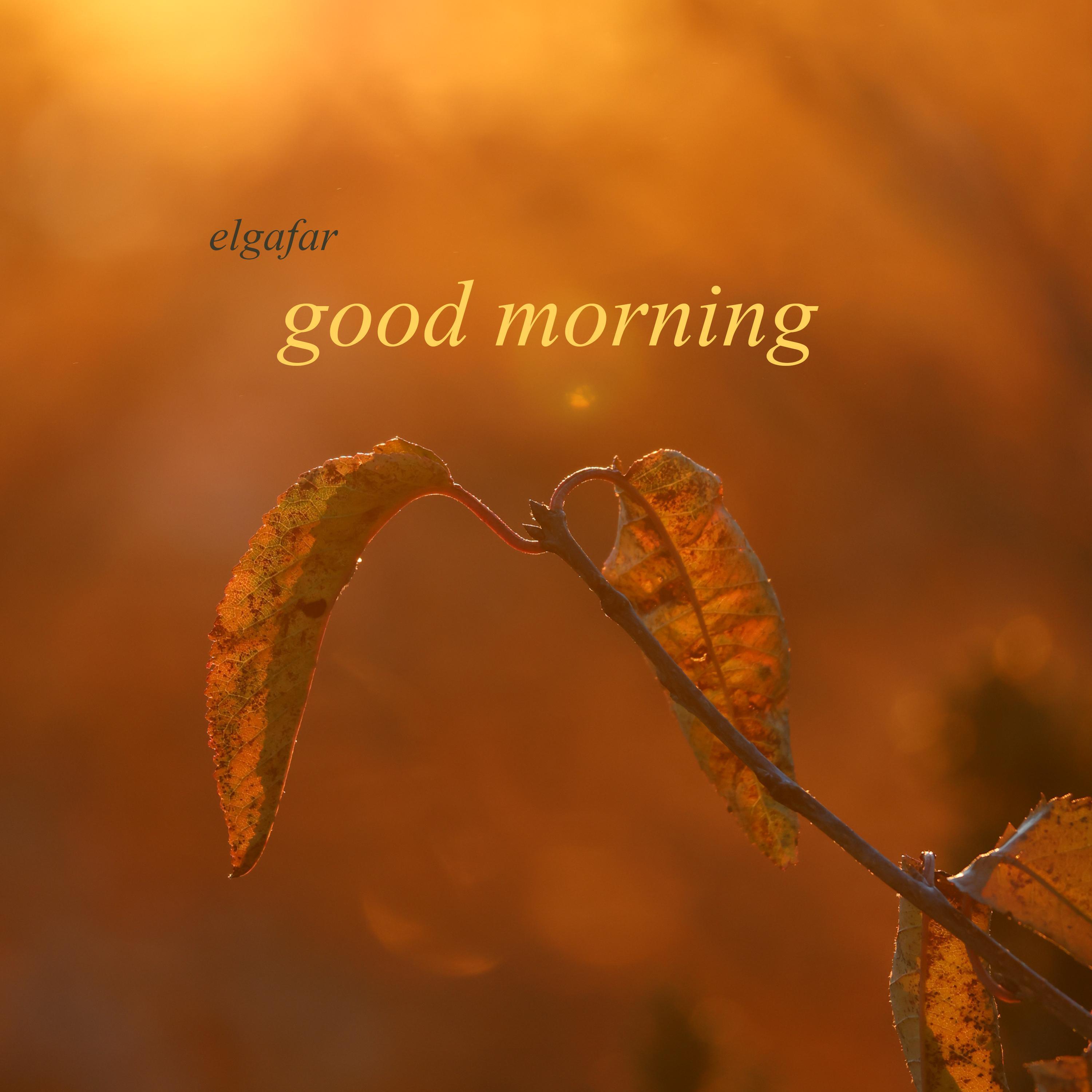 Релиз Good Morning