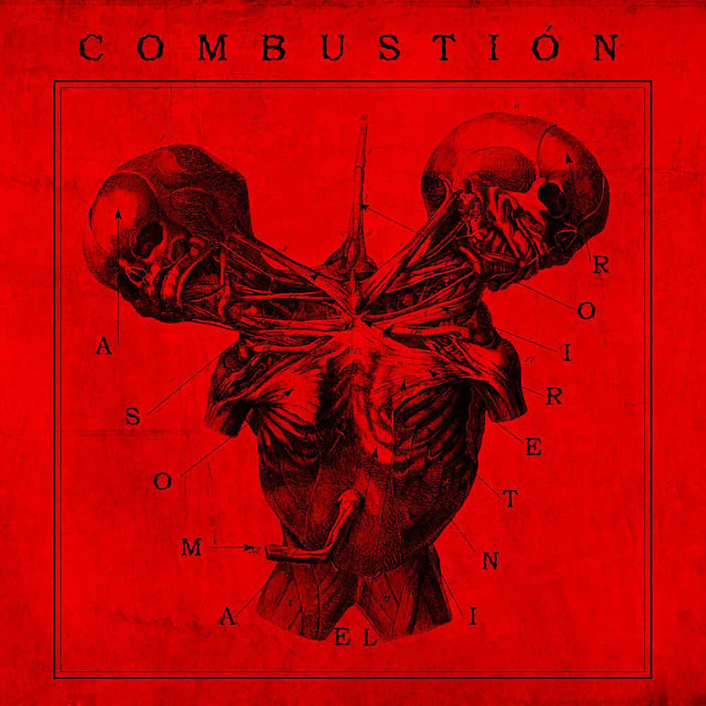 Combustión