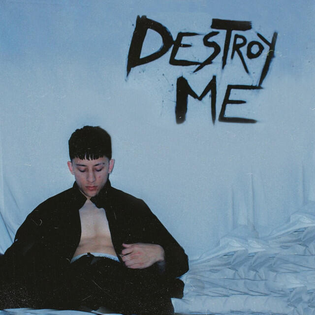 Постер альбома Destroy Me