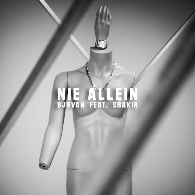 Релиз Nie allein