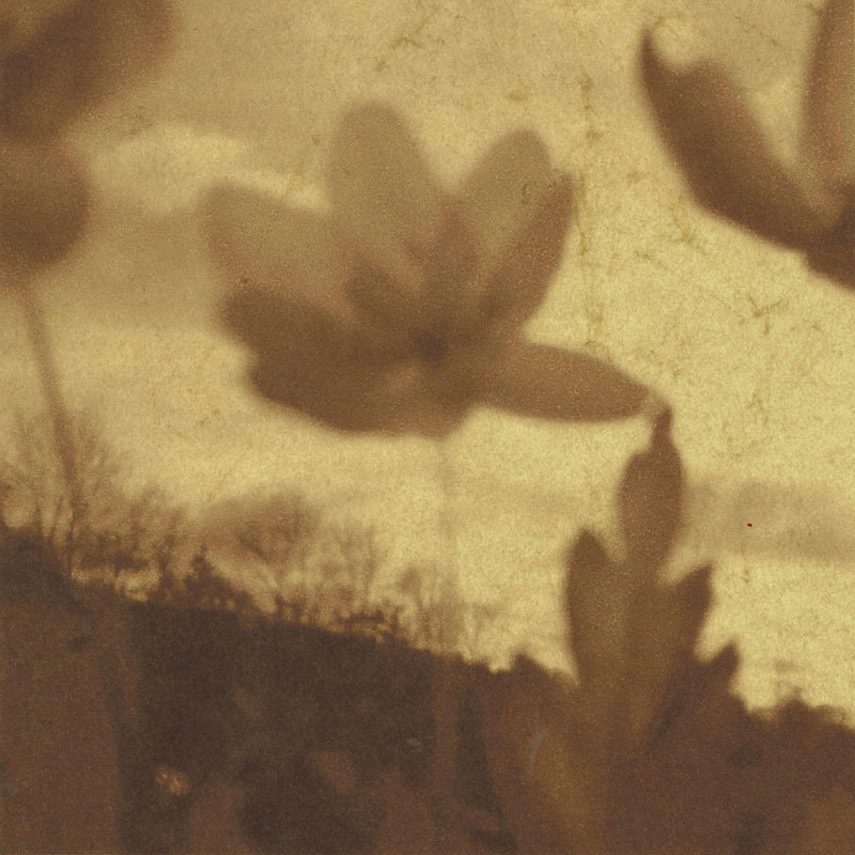 Релиз Revolving Fields