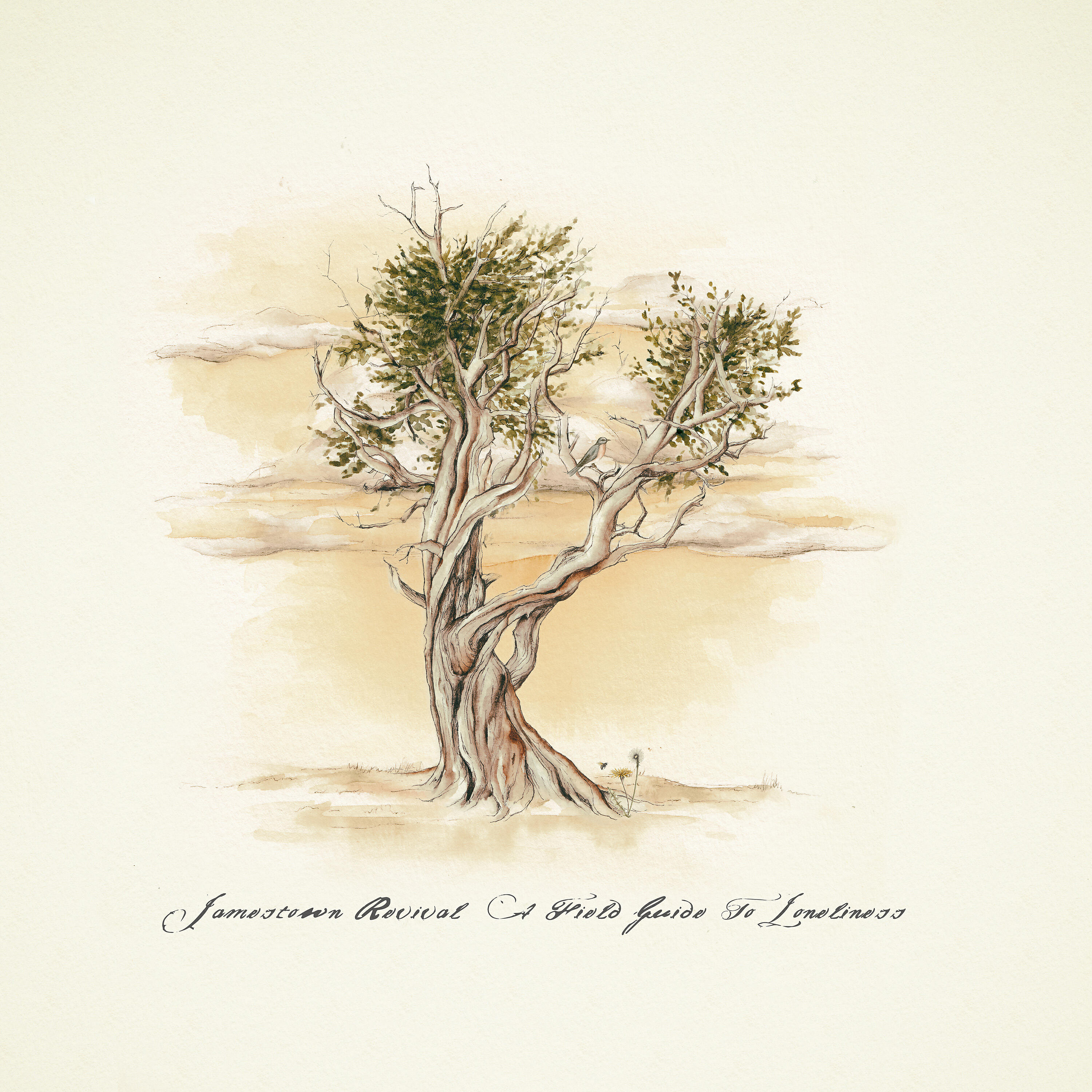 Релиз A Field Guide to Loneliness