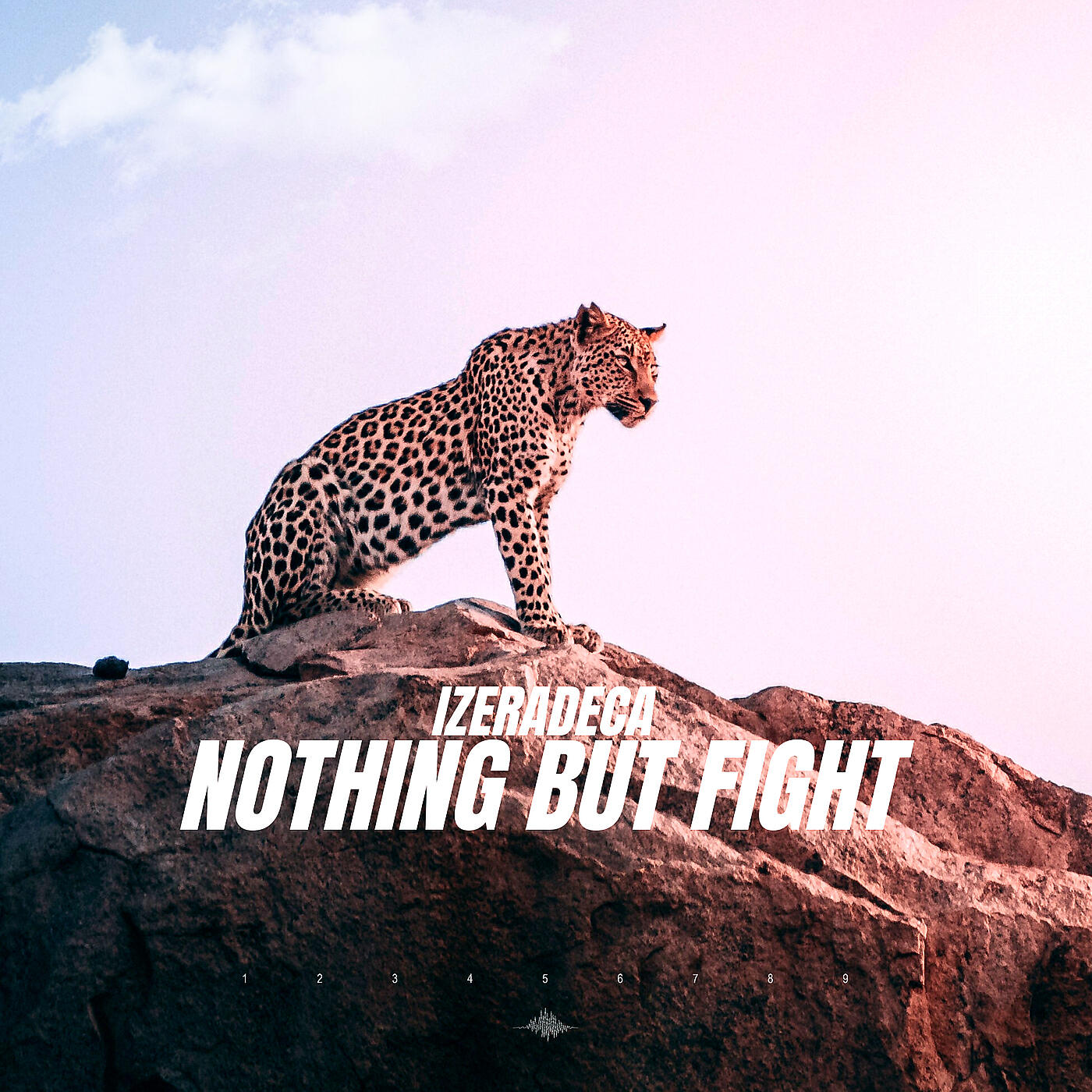 Релиз Nothing but Fight