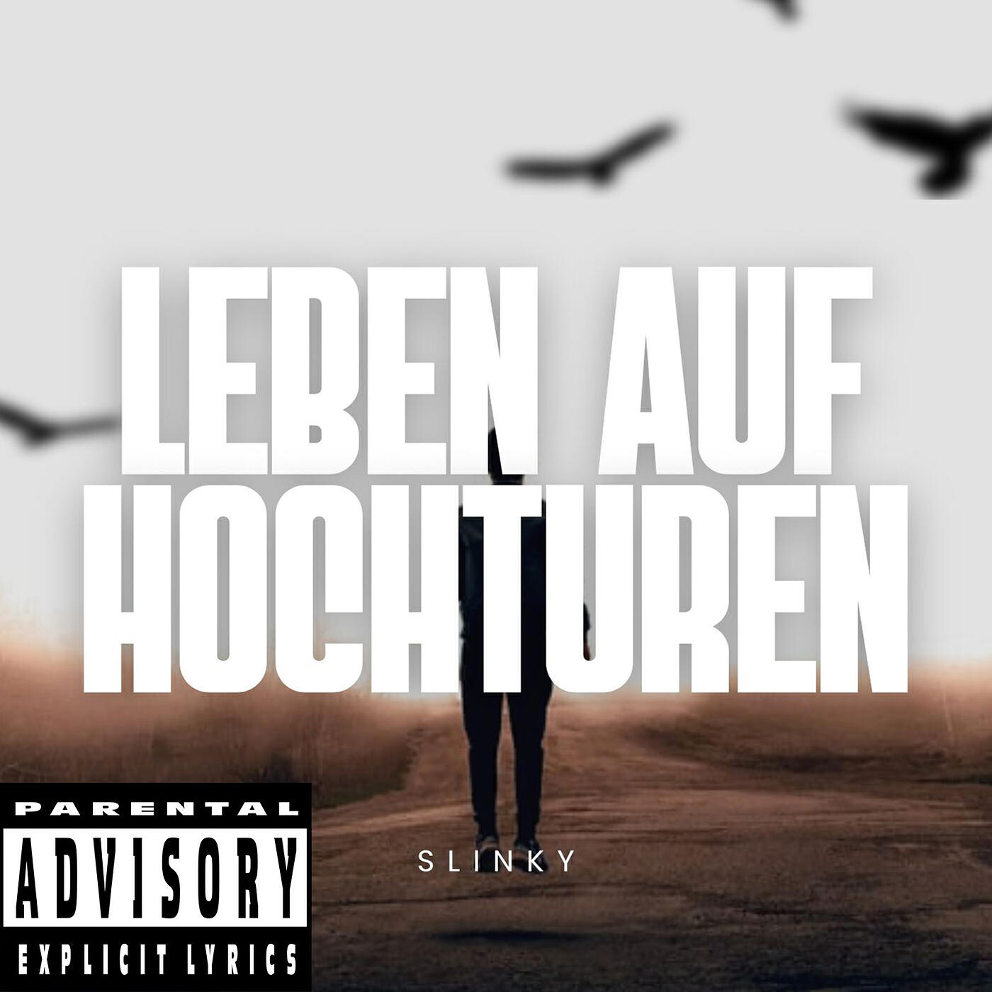 Релиз Leben Auf Hochturen