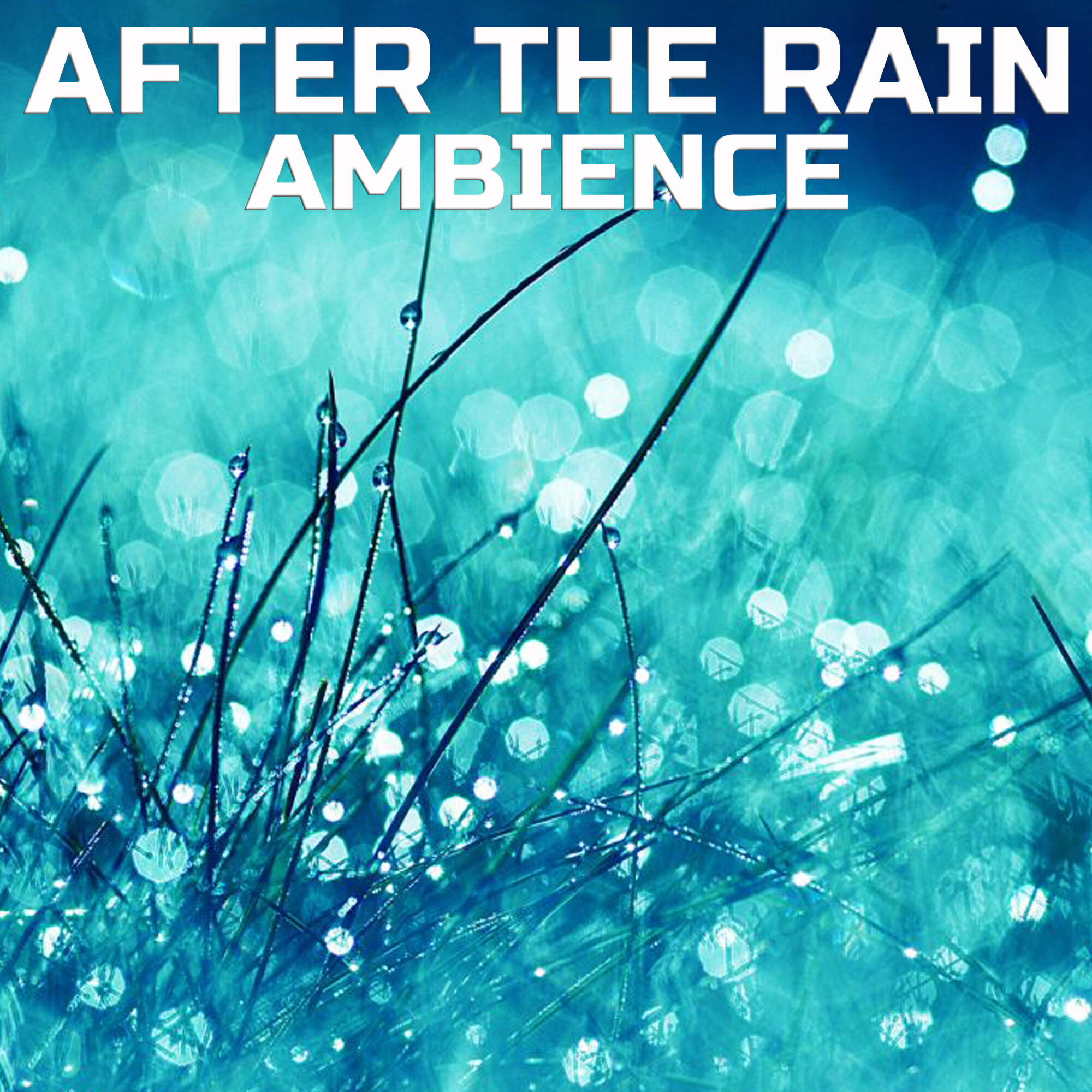 Релиз After the Rain Ambience
