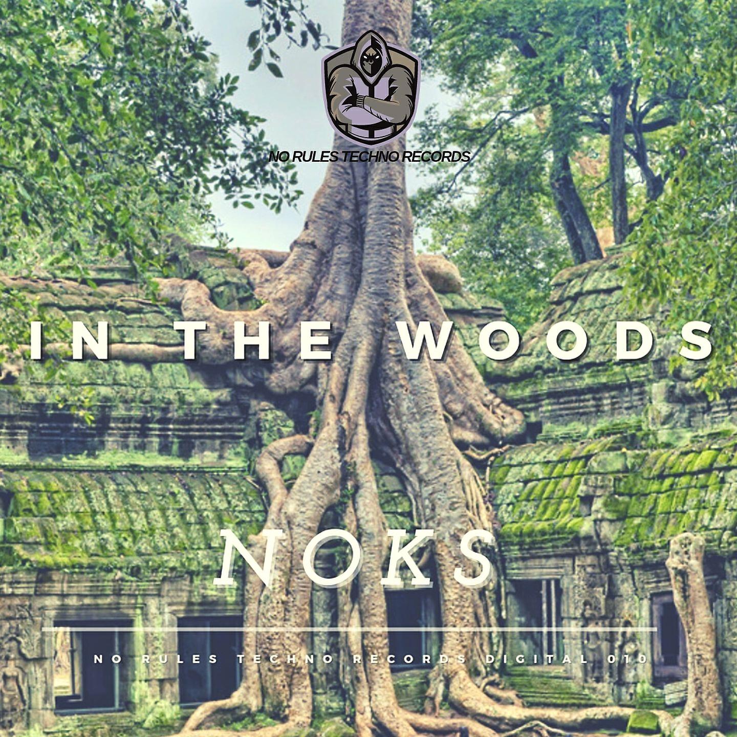 Релиз In the Woods