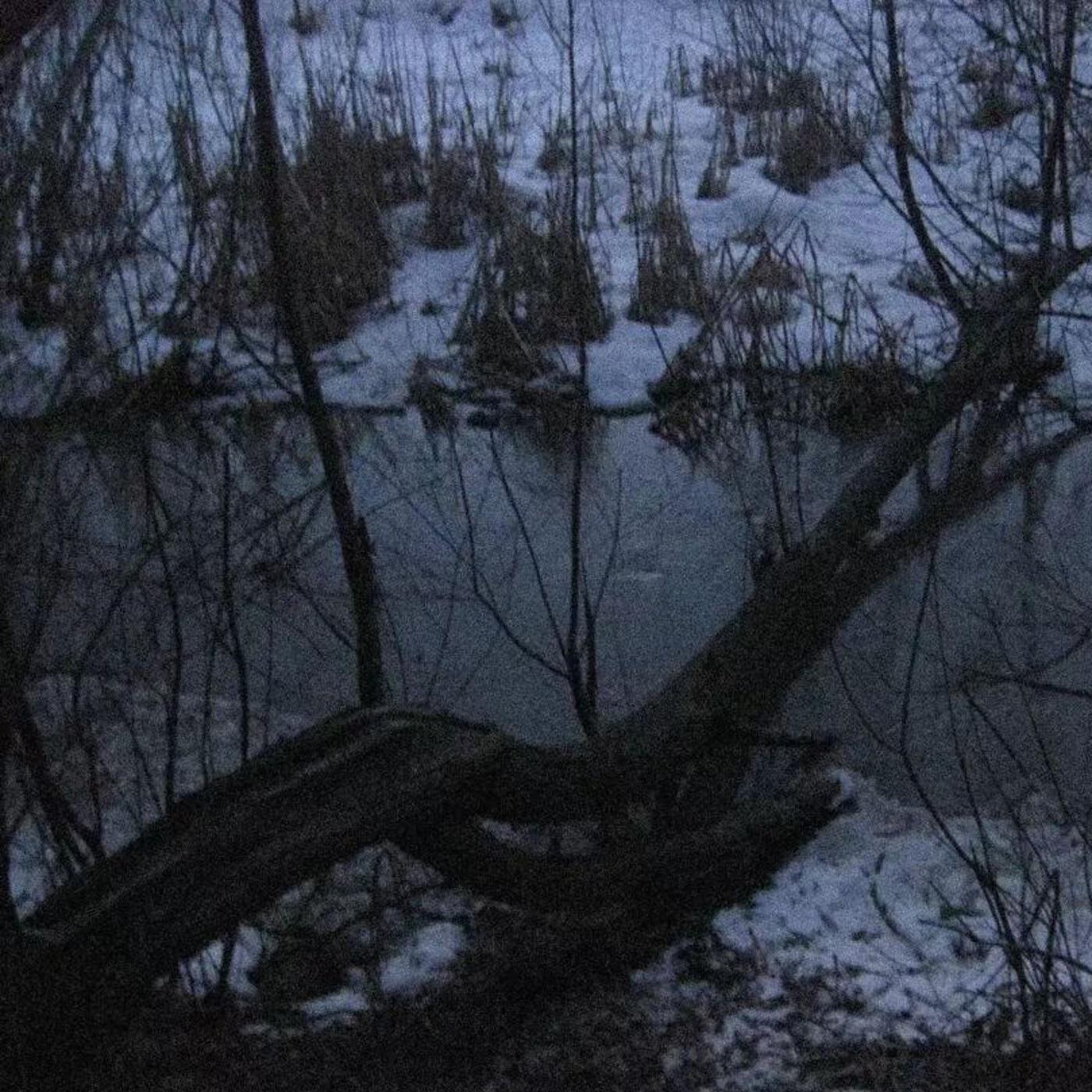 Релиз broken