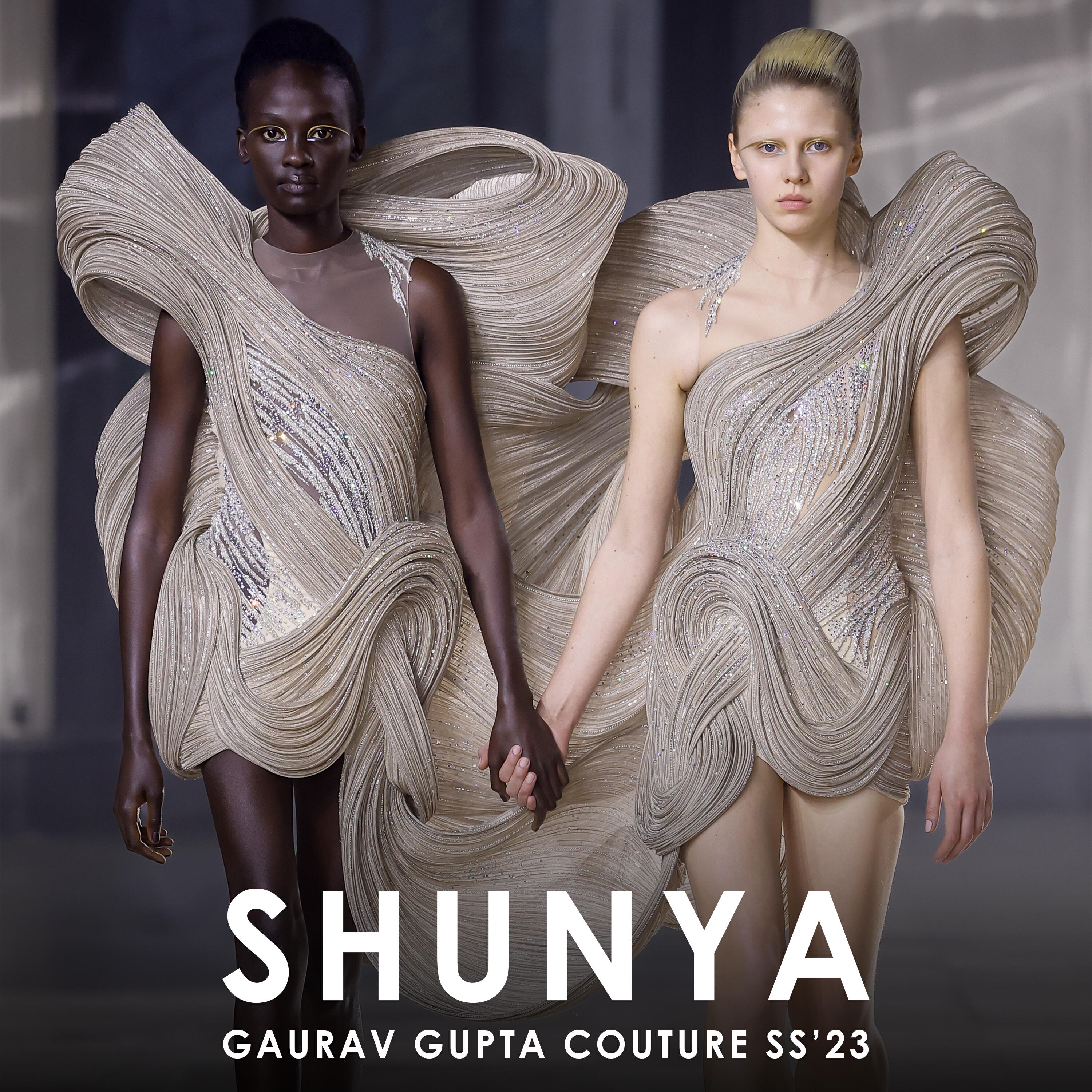 Релиз Shunya