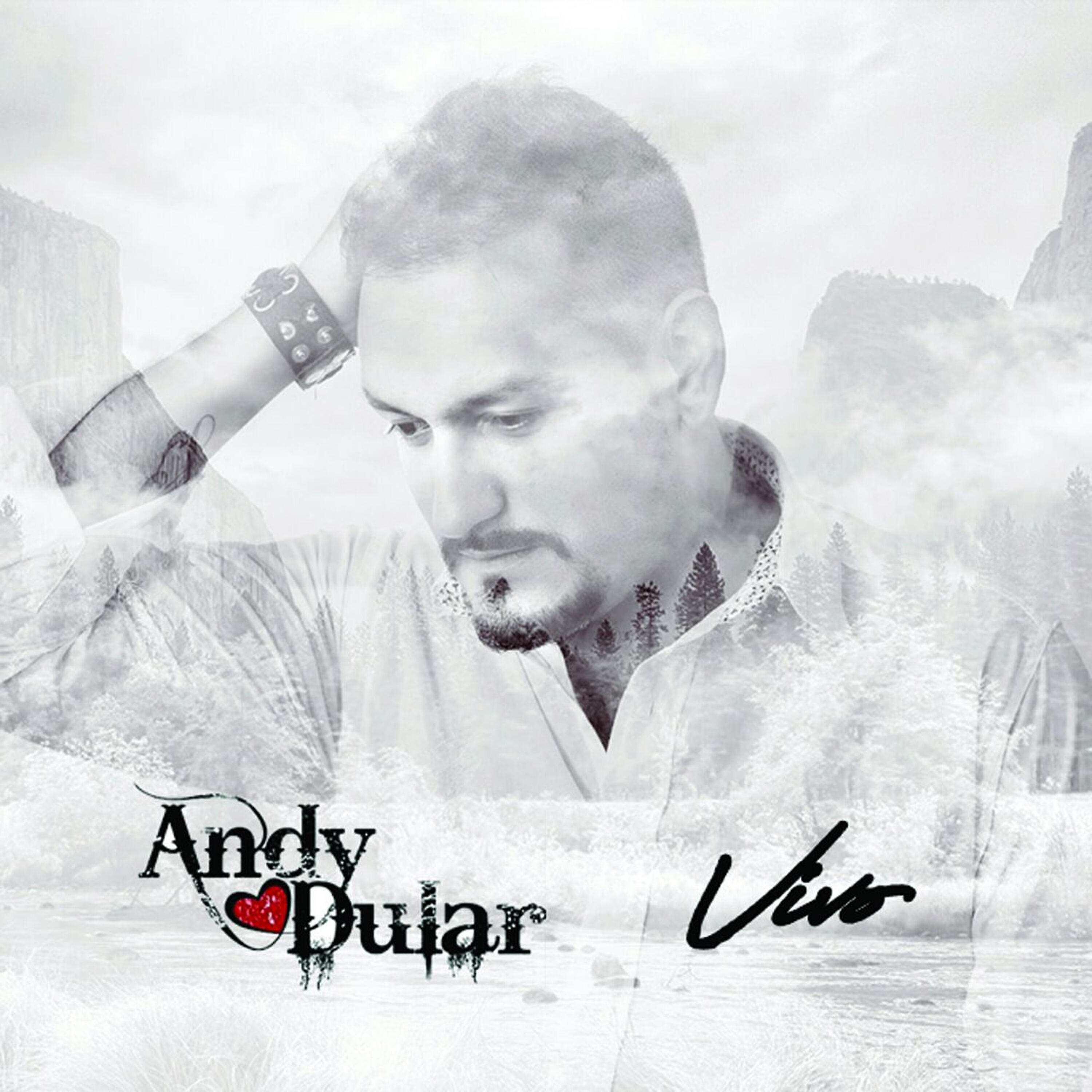 Релиз Vivo