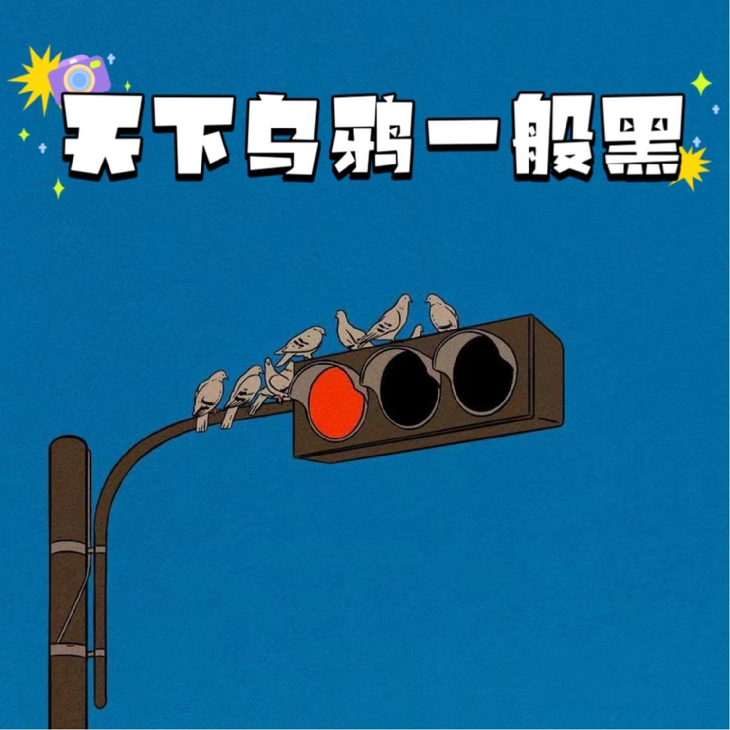 Релиз 天下的乌鸦一般黑