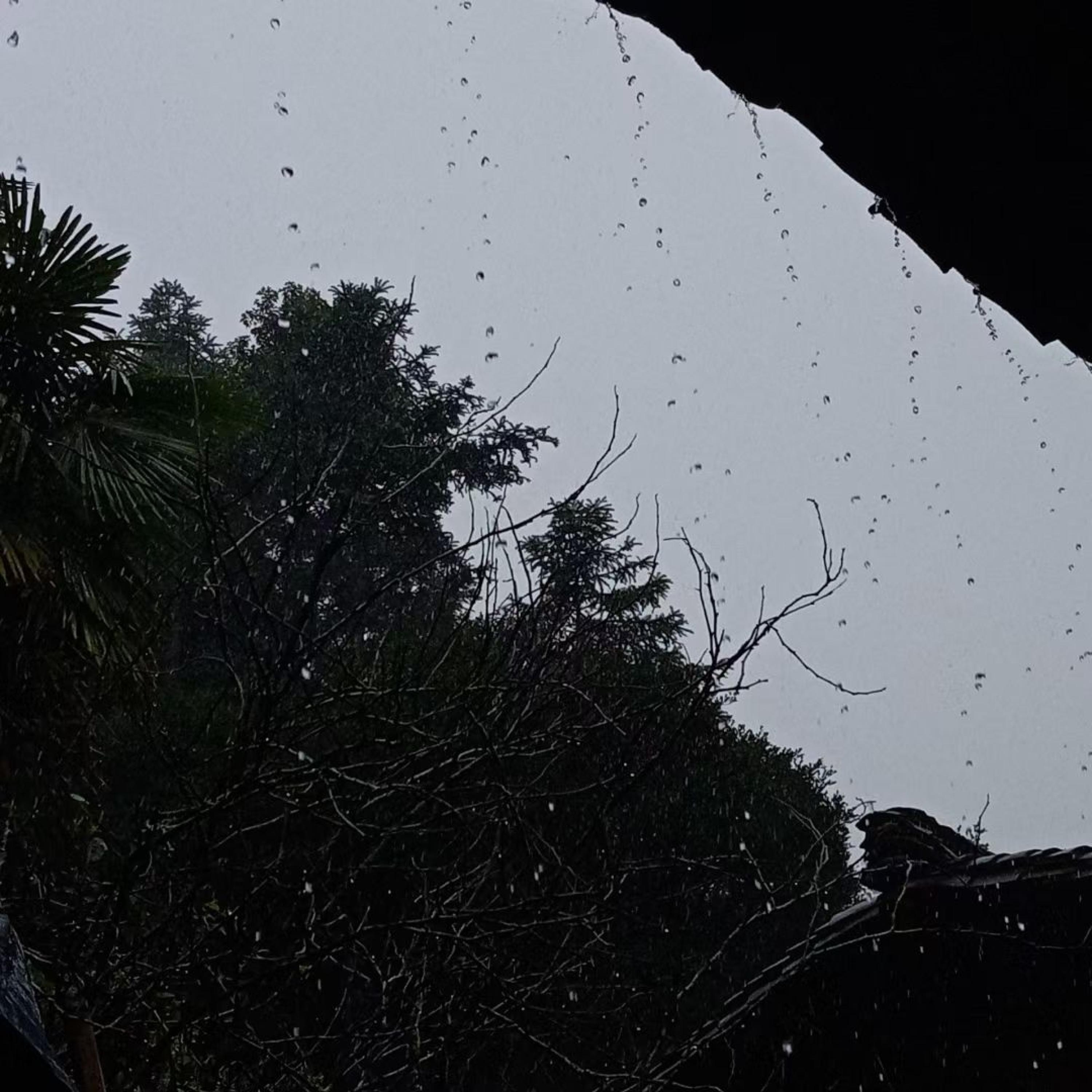 Релиз 悔意雨季