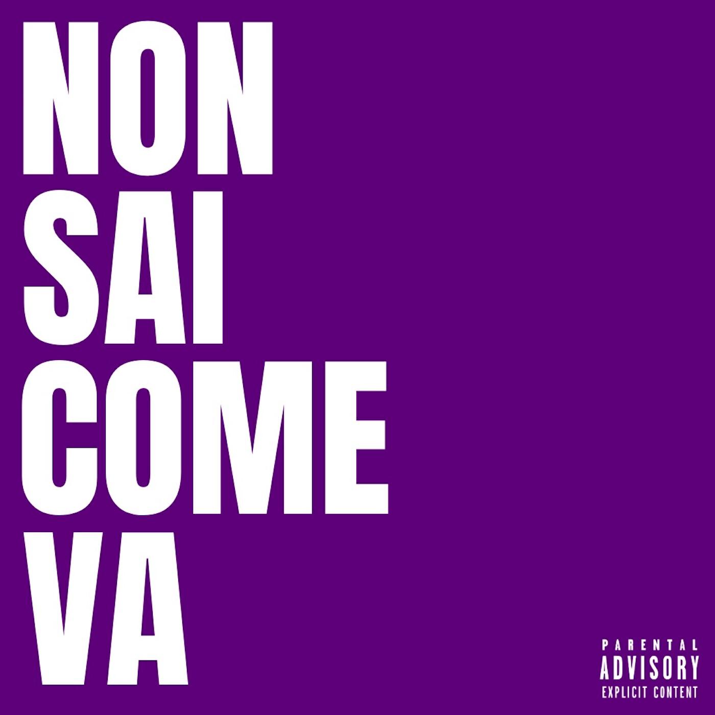Релиз NON SAI COME VA