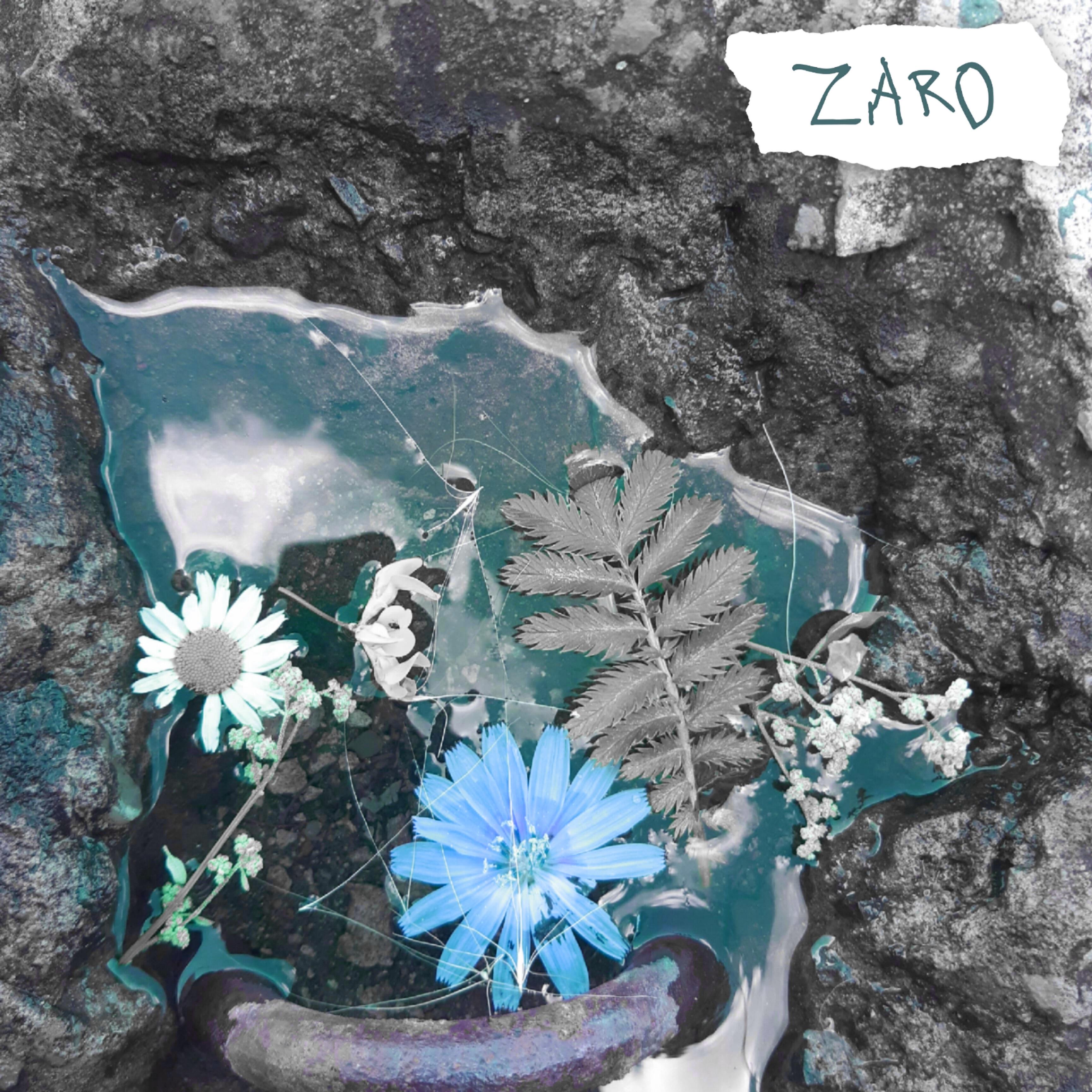 Релиз Цветы у моря