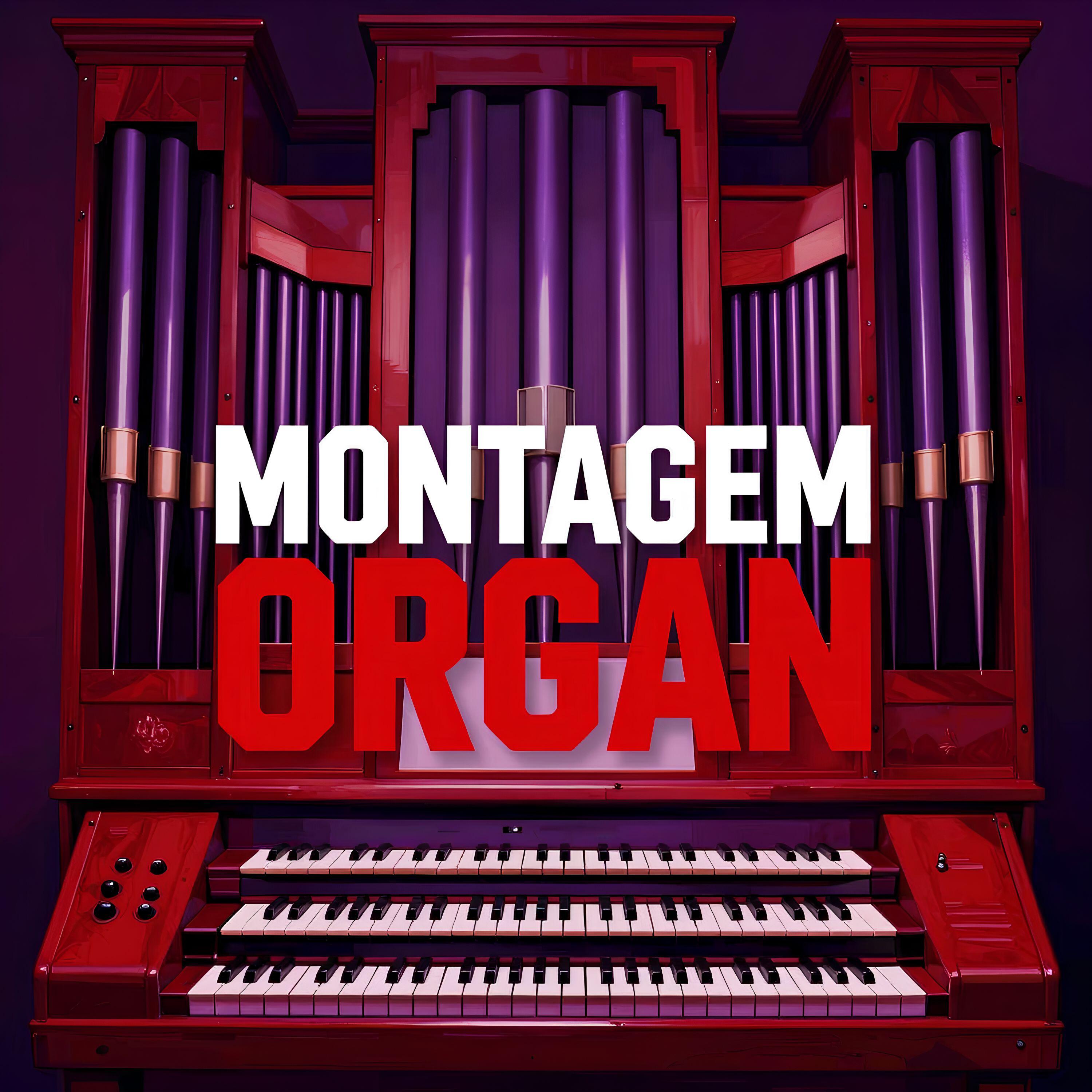 Релиз MONTAGEM ORGAN