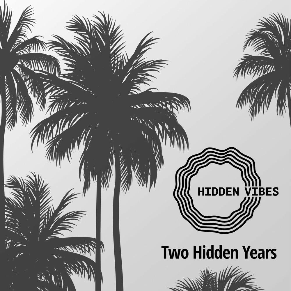 Релиз Two Hidden Years