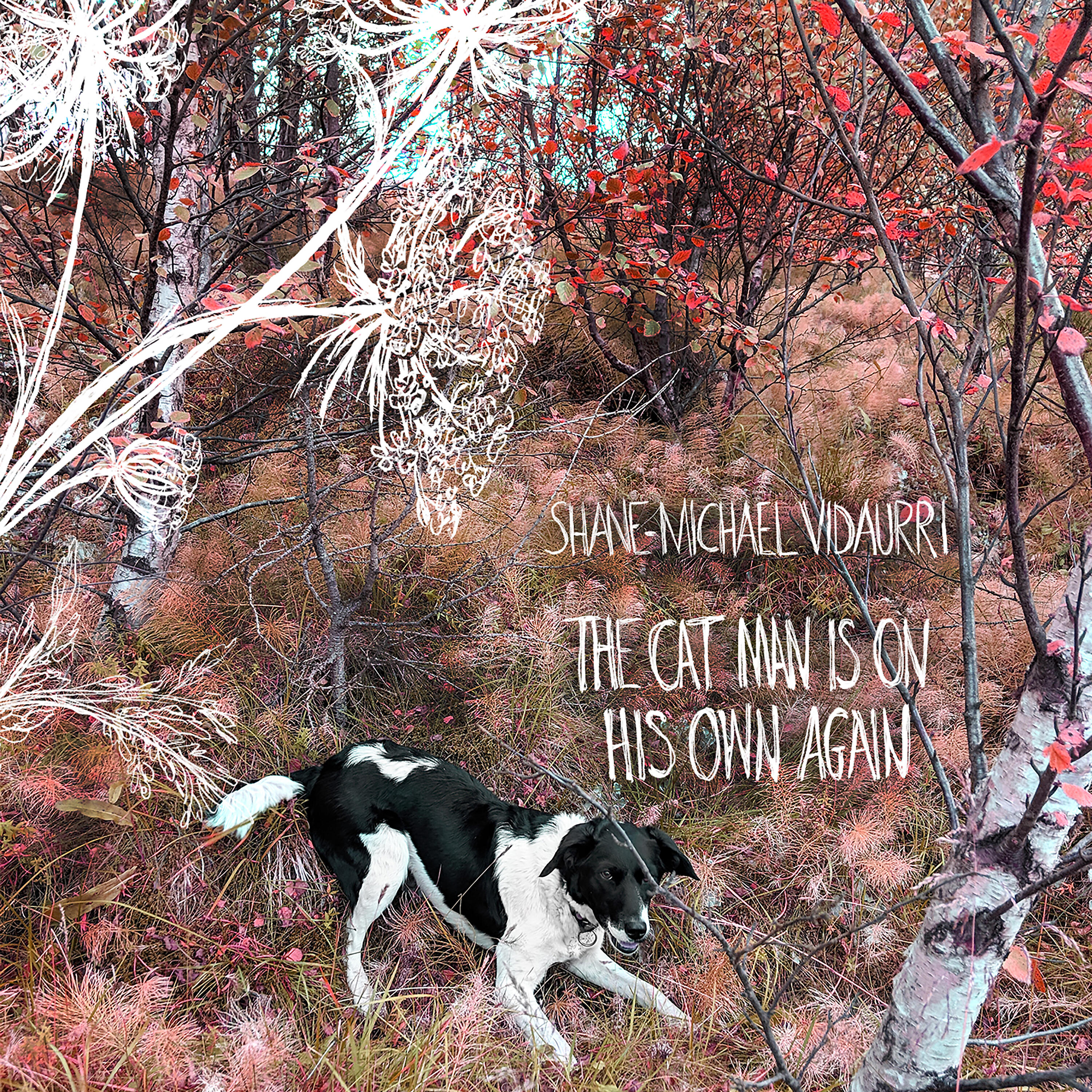 Релиз The Cat Man is on His Own Again