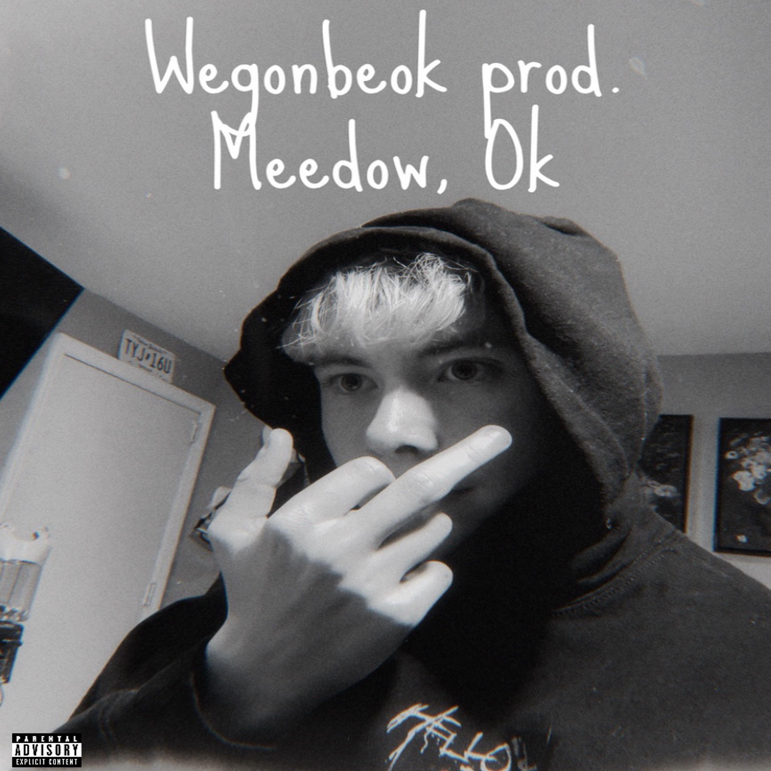 Релиз Wegonbeok